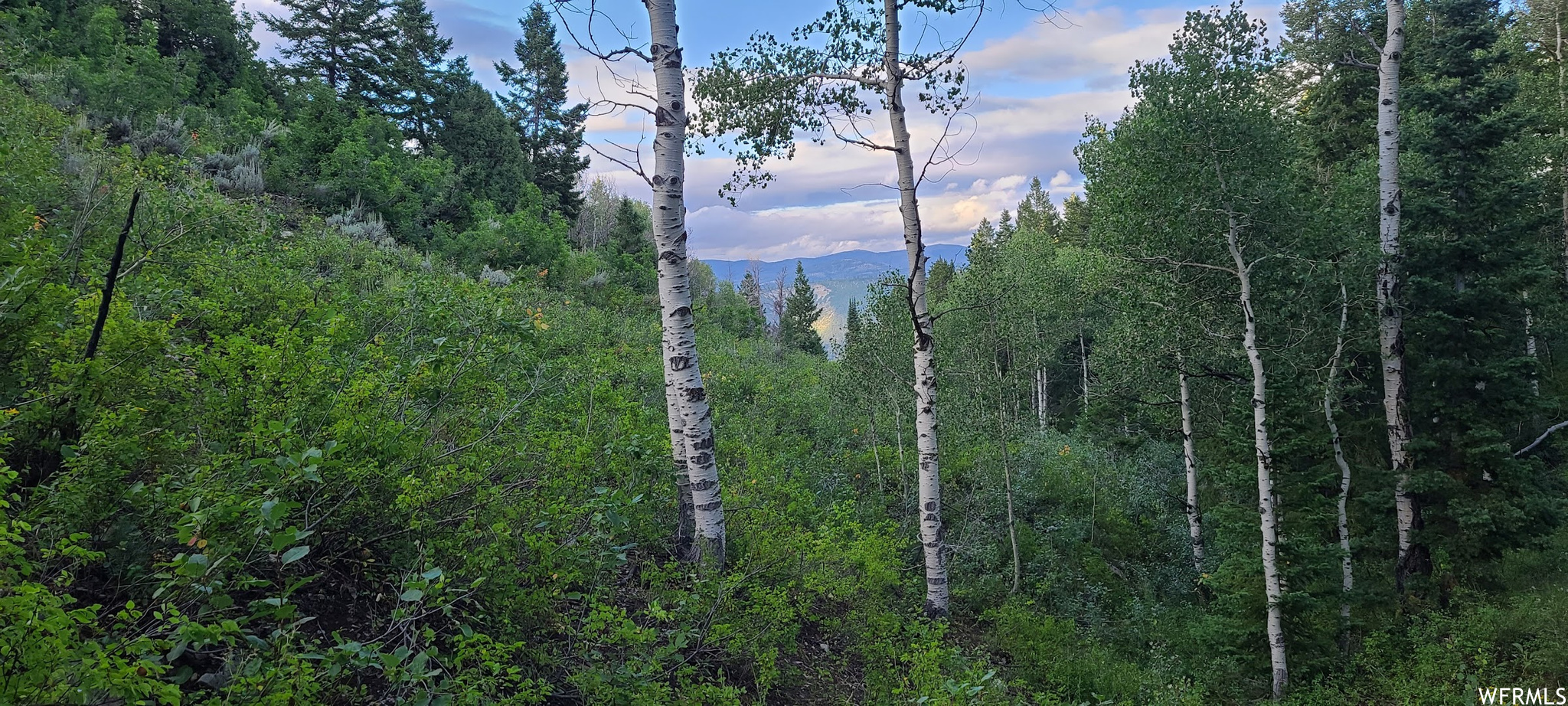 View of property view of mountains