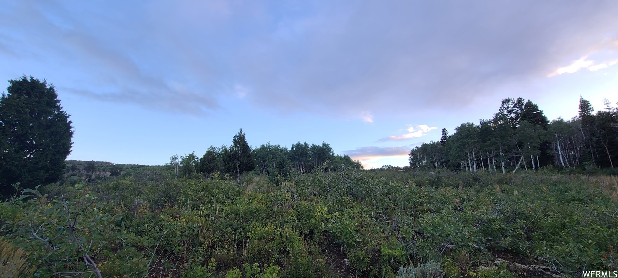 View of nature at dusk