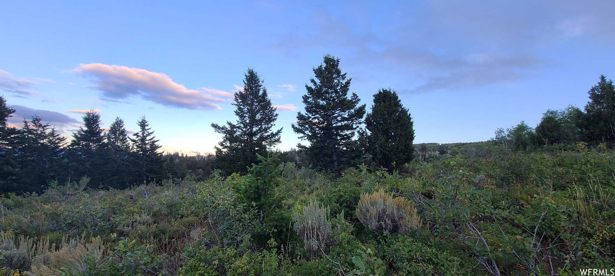 View of nature at dusk