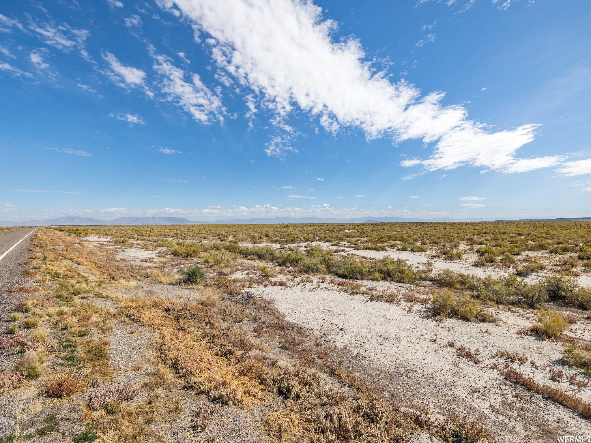 View of local wilderness