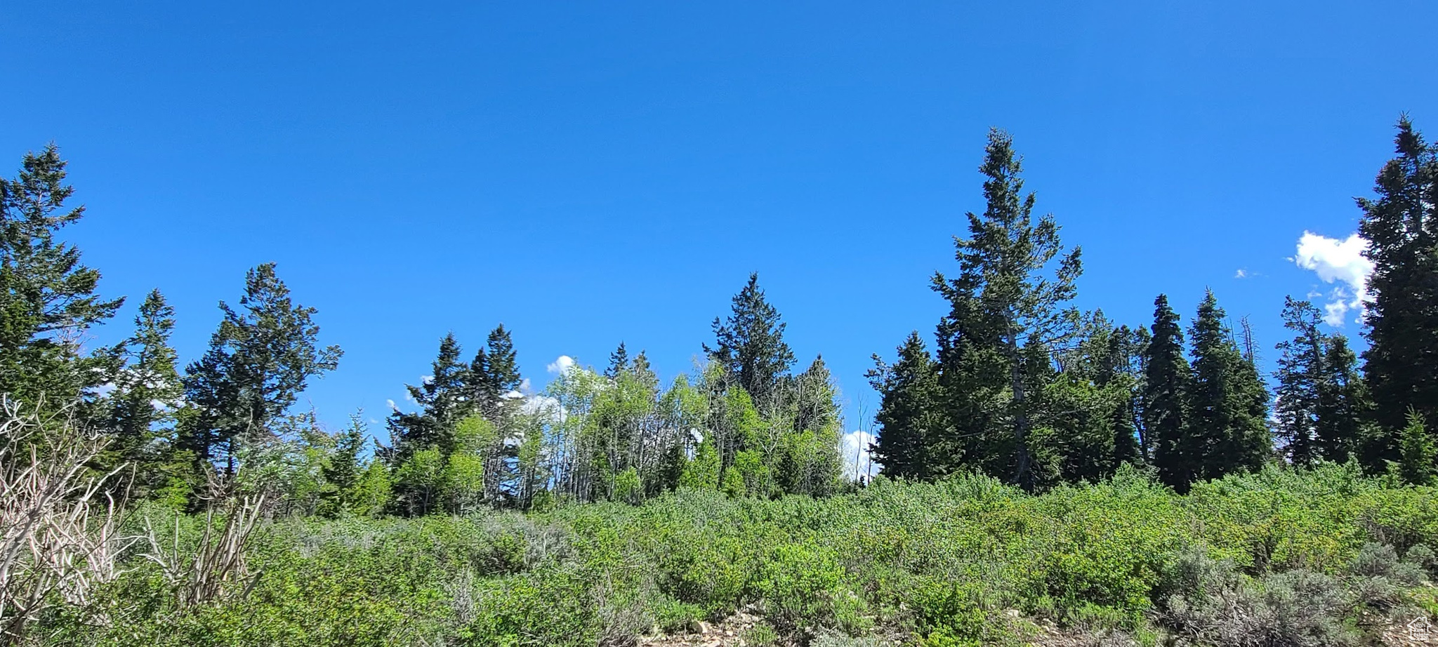 Looking east off Snowbird drive