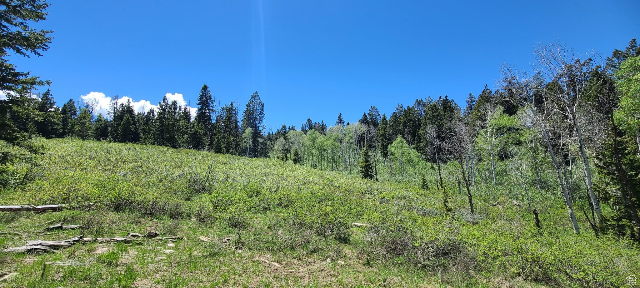 Bottom of lot off Solitude Dr. looking up from northeast corner of lot.