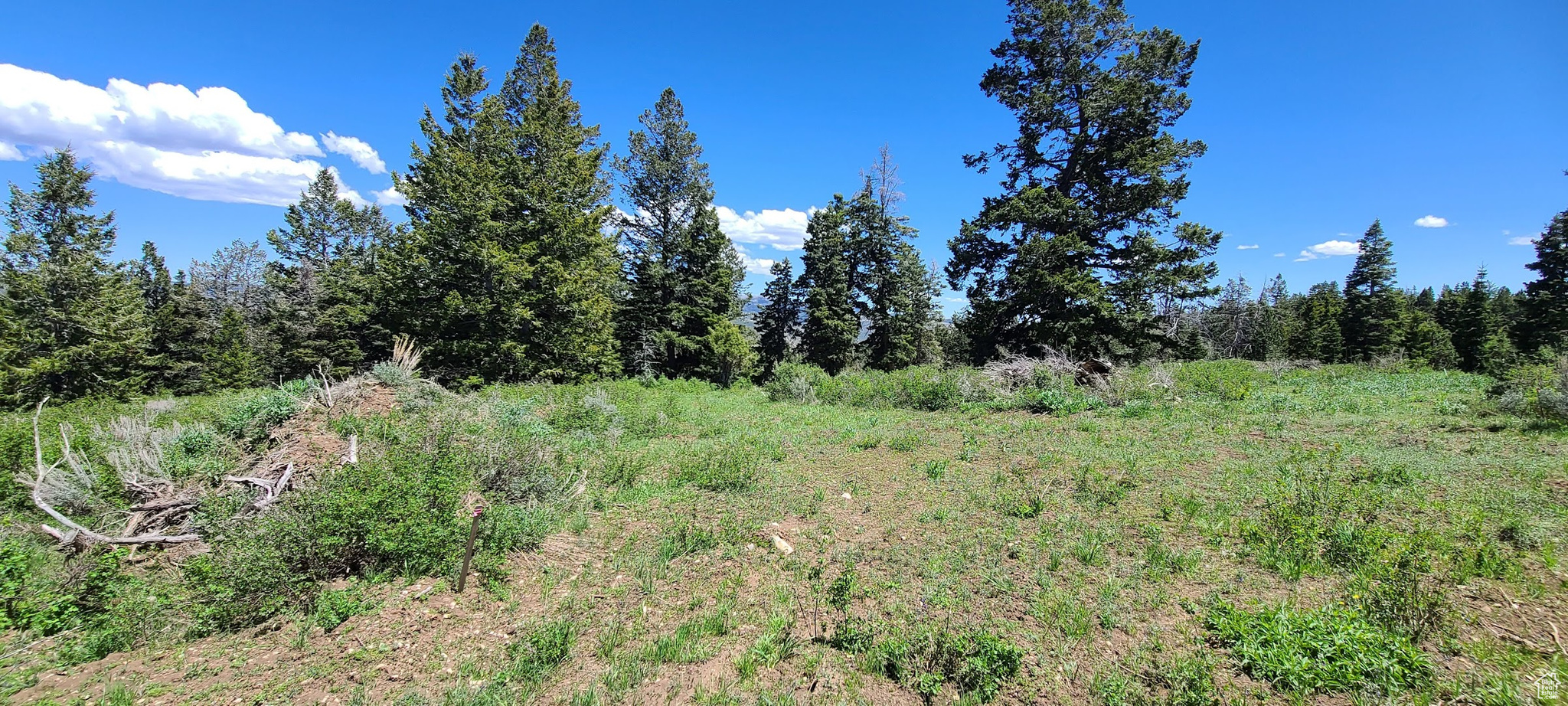 Driveway access off Snowbird Dr.