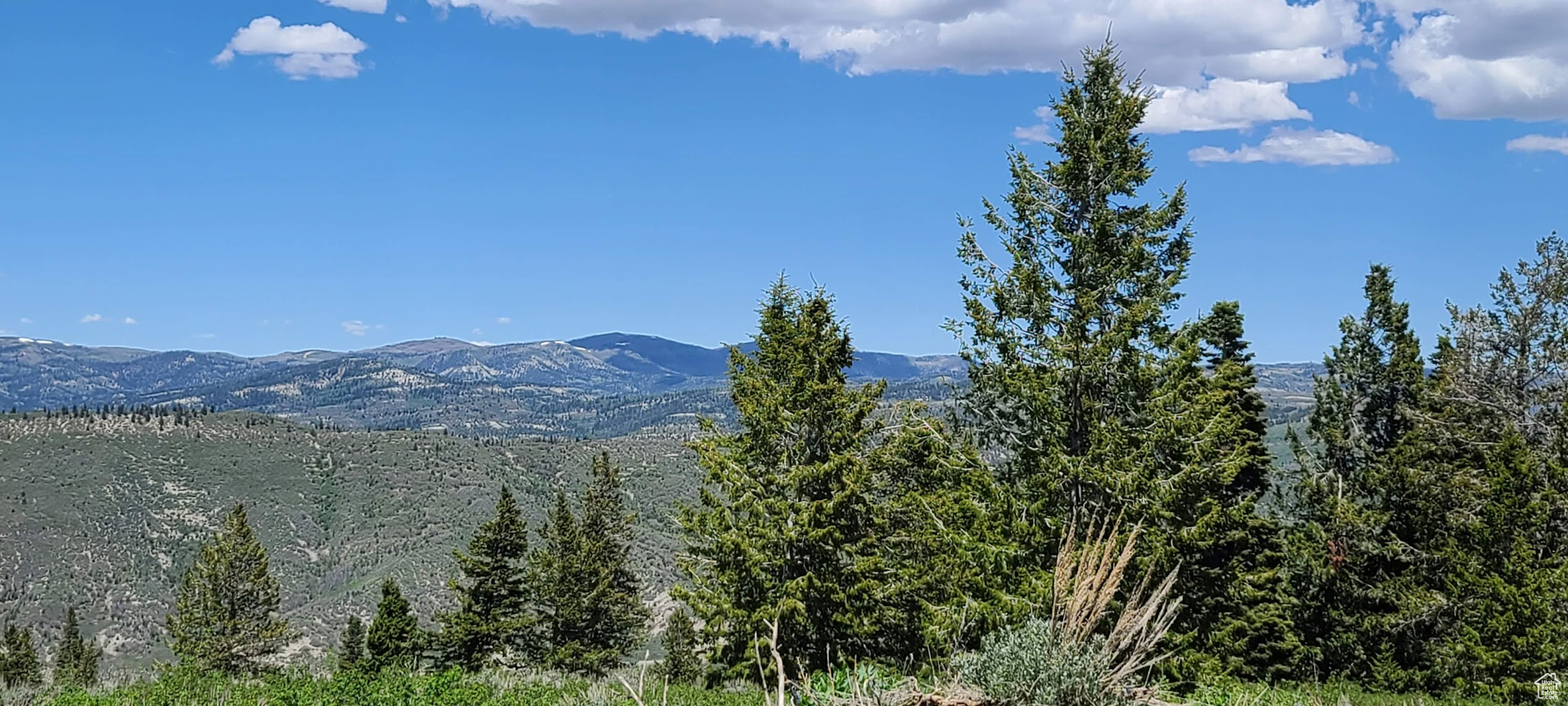 Looking North off Snowbird and upper lot where a road was graded