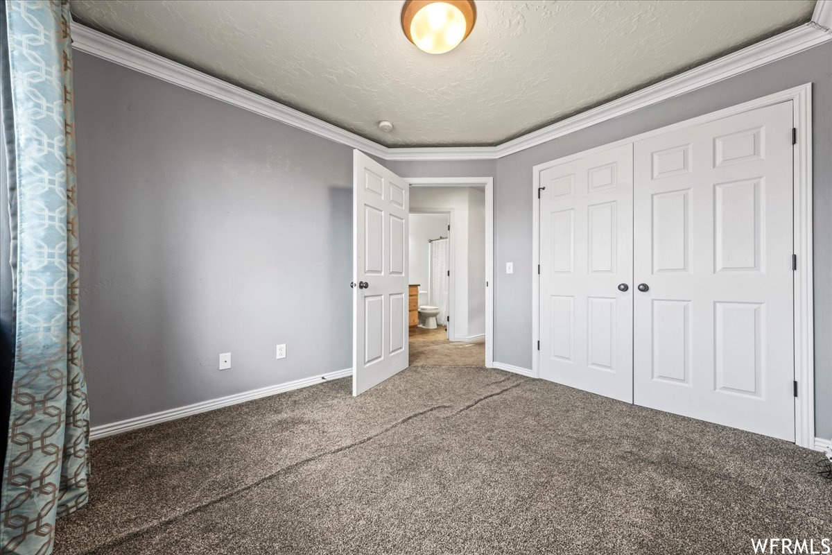 Unfurnished bedroom with a closet, carpet flooring, and ornamental molding