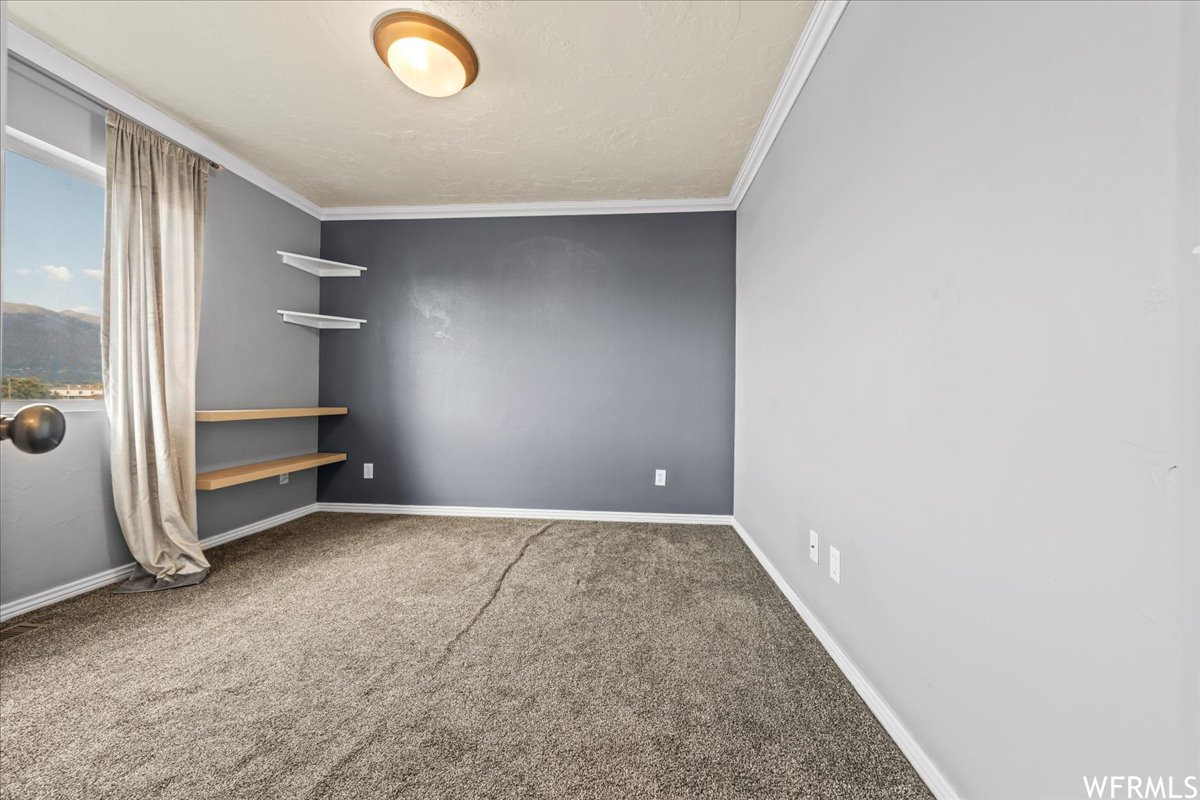 Spare room with crown molding and carpet flooring