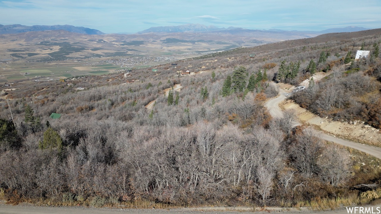 #37, Fairview, Utah 84629, ,Land,For sale,1964109