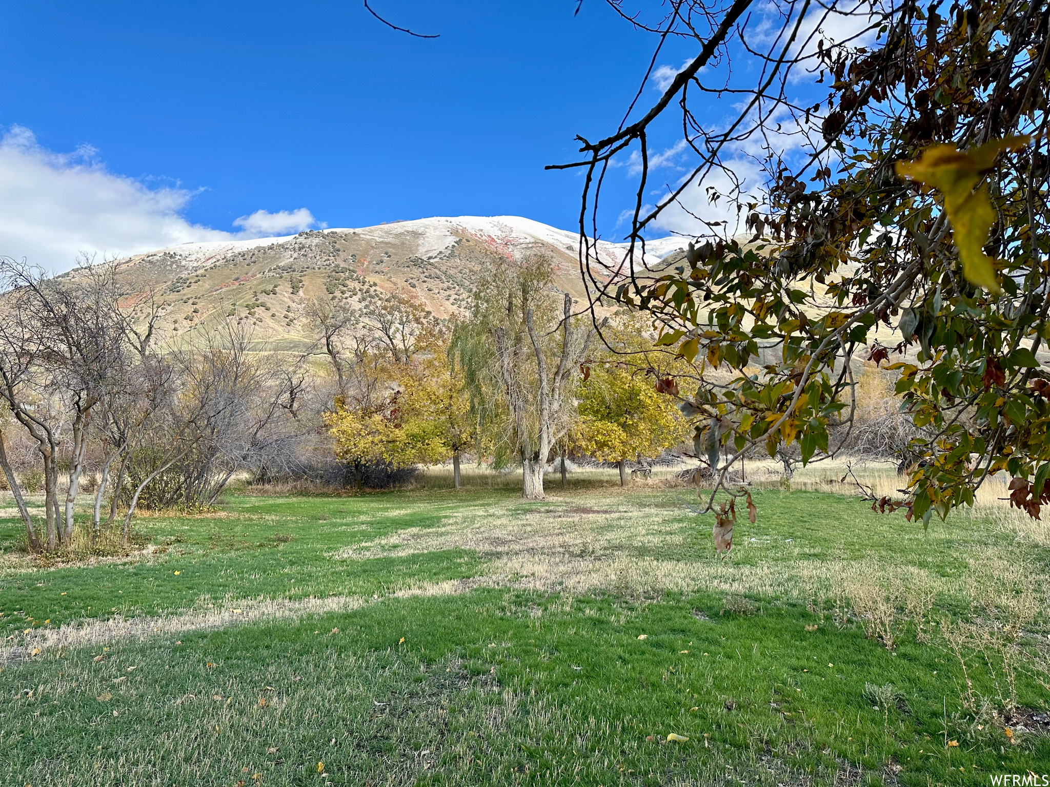 View of back yard with a mountain view and Blacksmith Fork River running in background