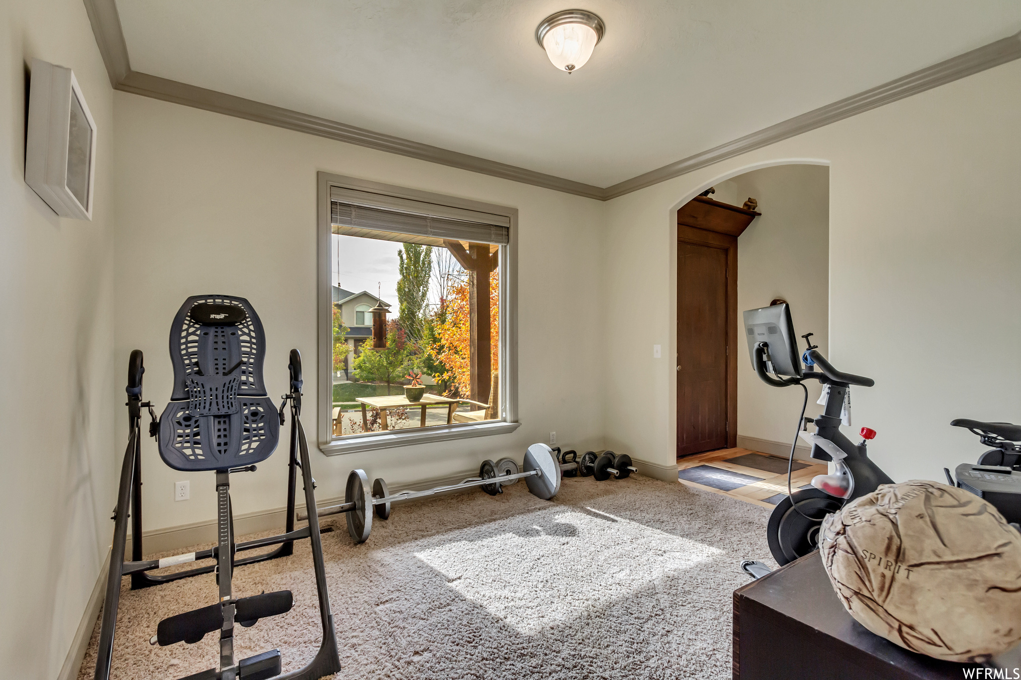 Workout room featuring light carpet and ornamental molding
