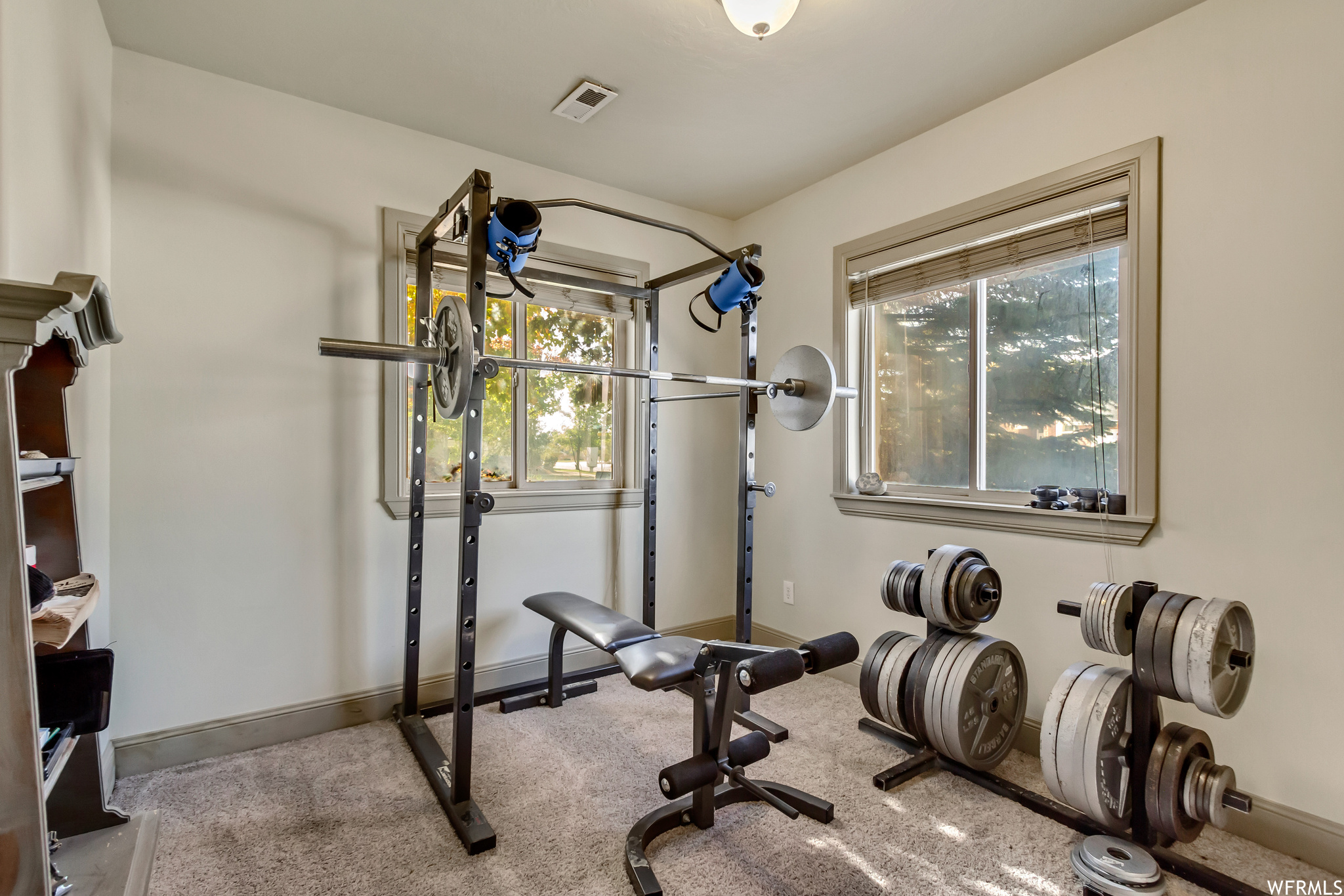 Workout room with carpet flooring and a healthy amount of sunlight