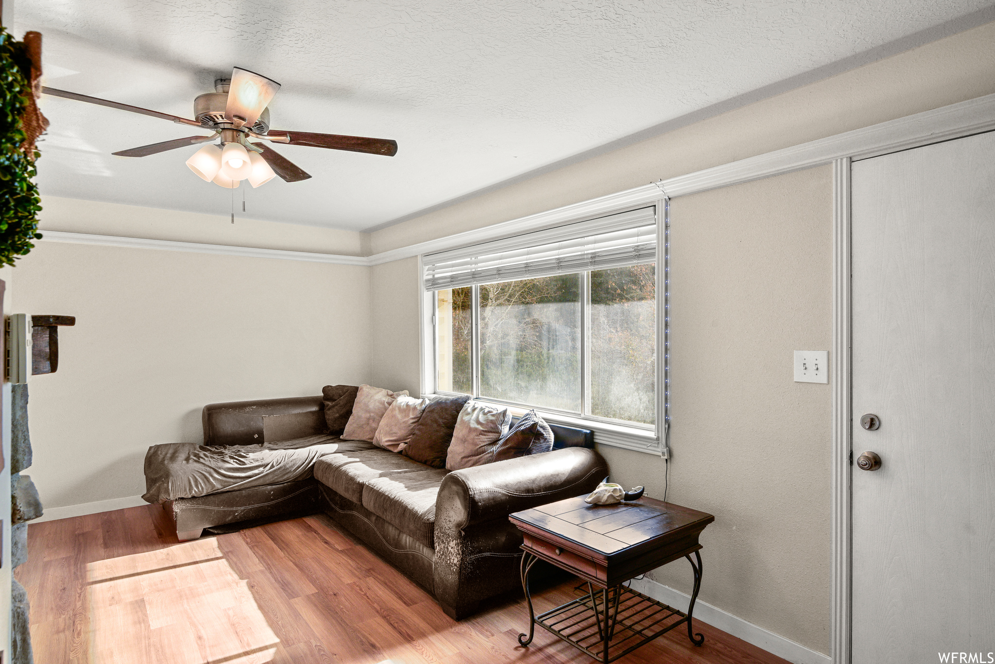 Living room featuring ceiling fan and light hardwood / wood-style flooring