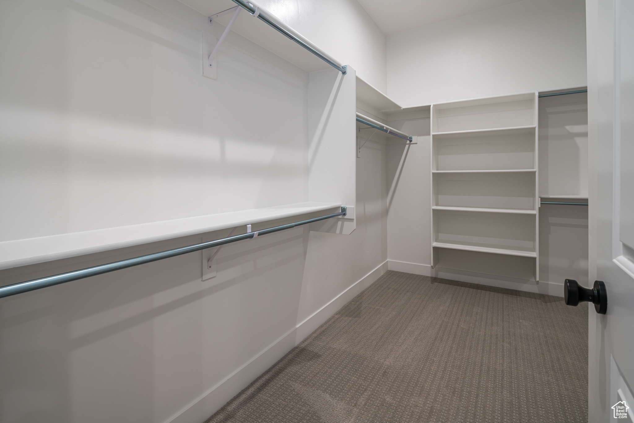 Spacious closet featuring dark colored carpet