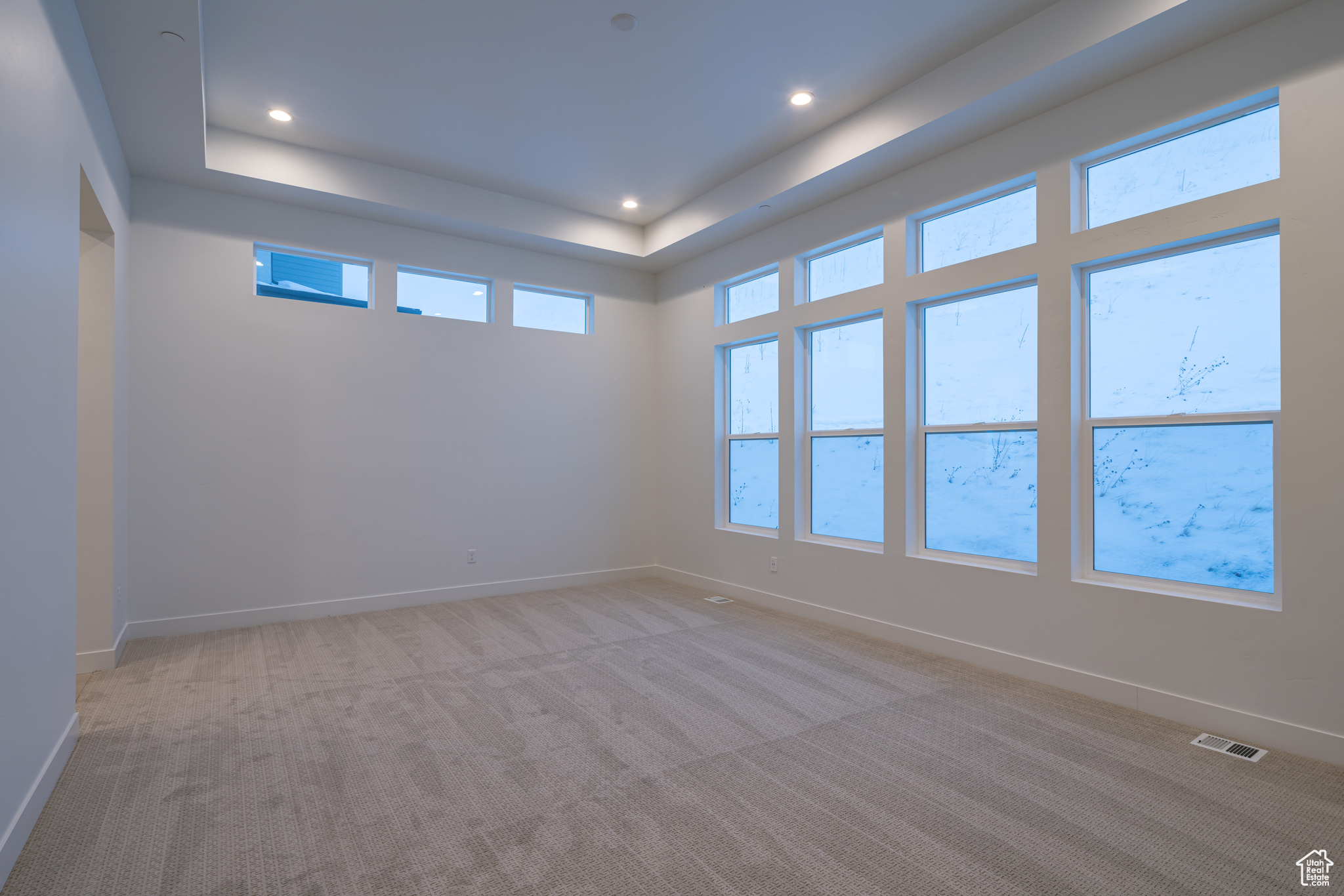 Carpeted empty room with a tray ceiling