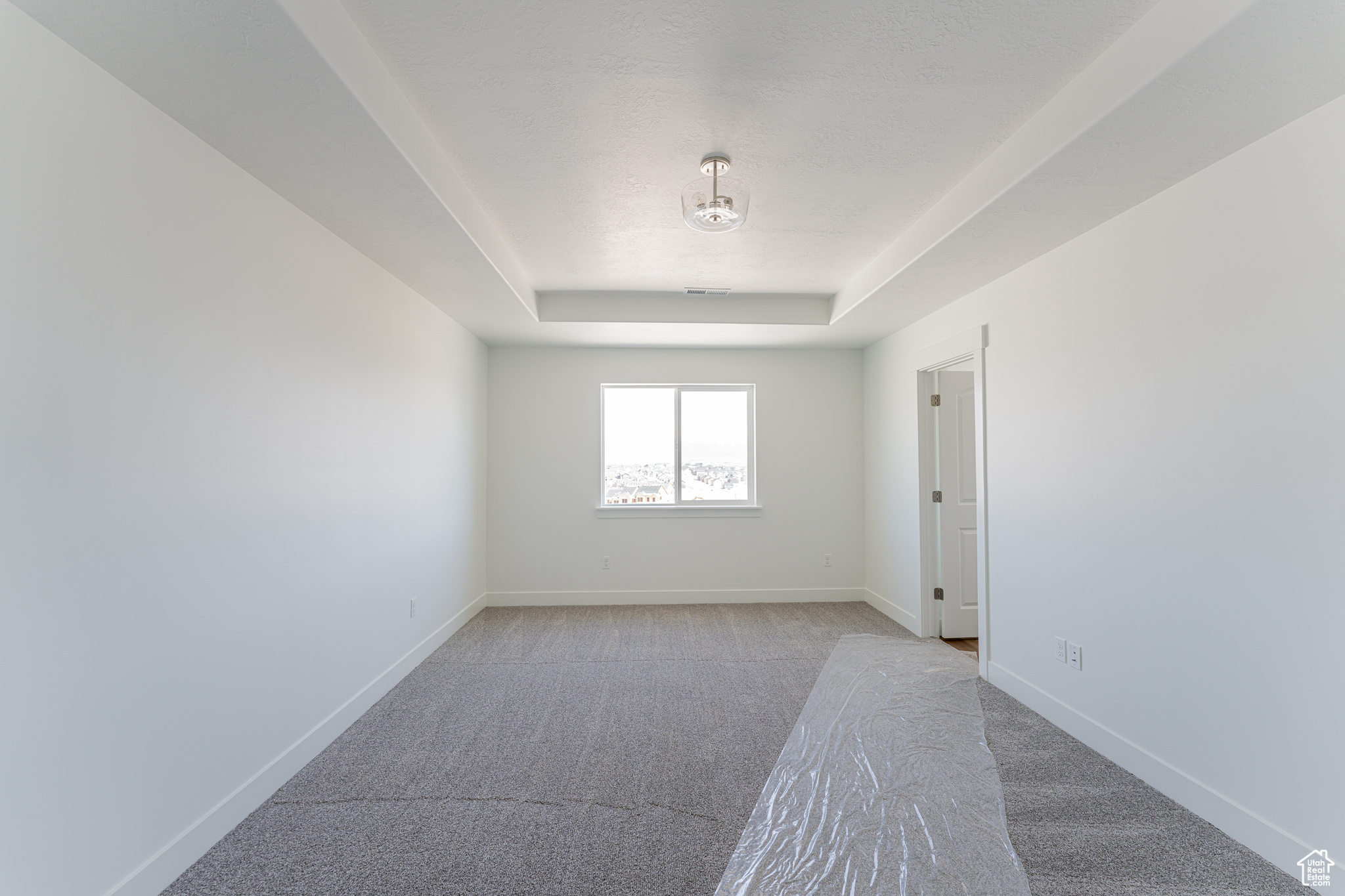 Empty room with light colored carpet and a raised ceiling