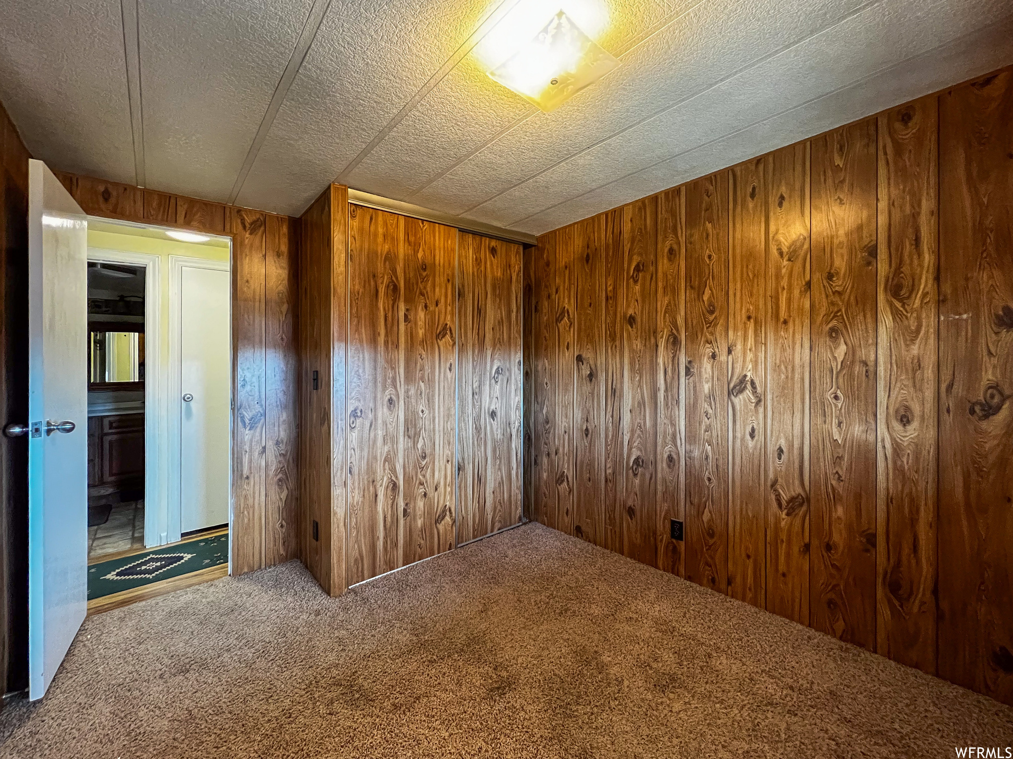 Empty room featuring wood walls and carpet flooring