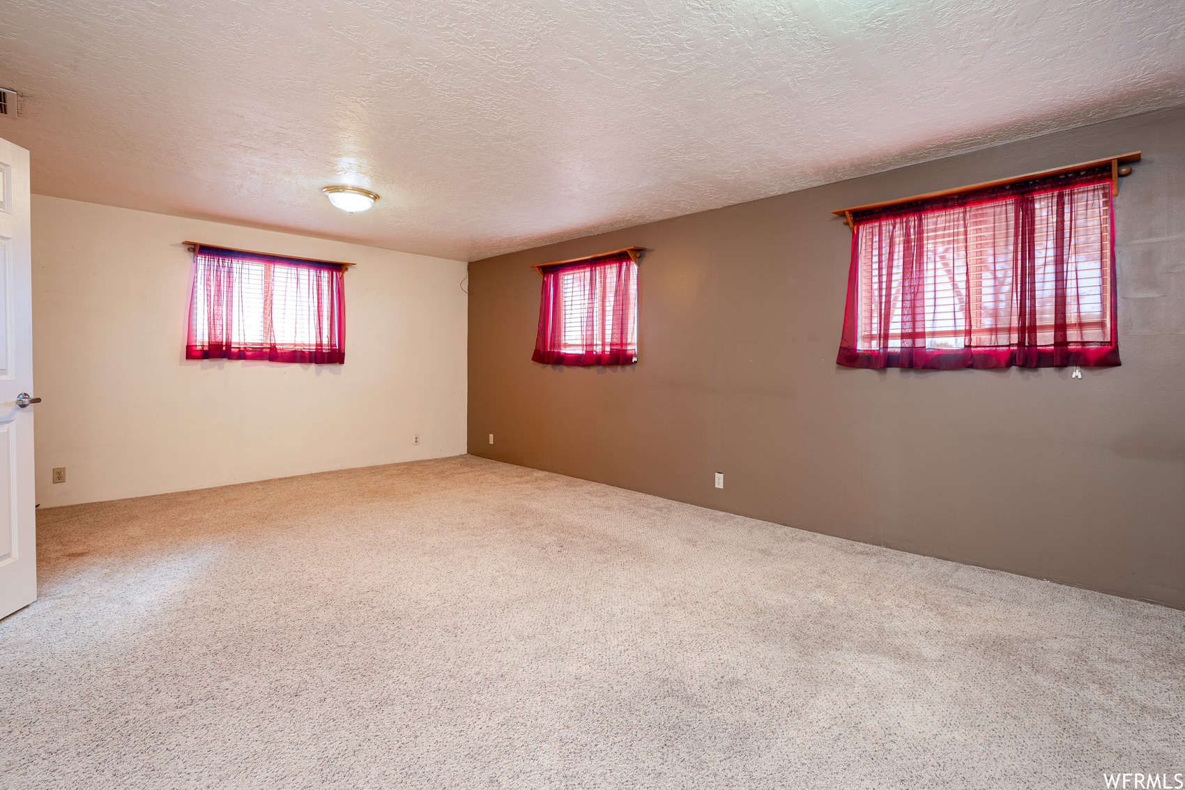 Empty room with a textured ceiling, a wealth of natural light, and light carpet