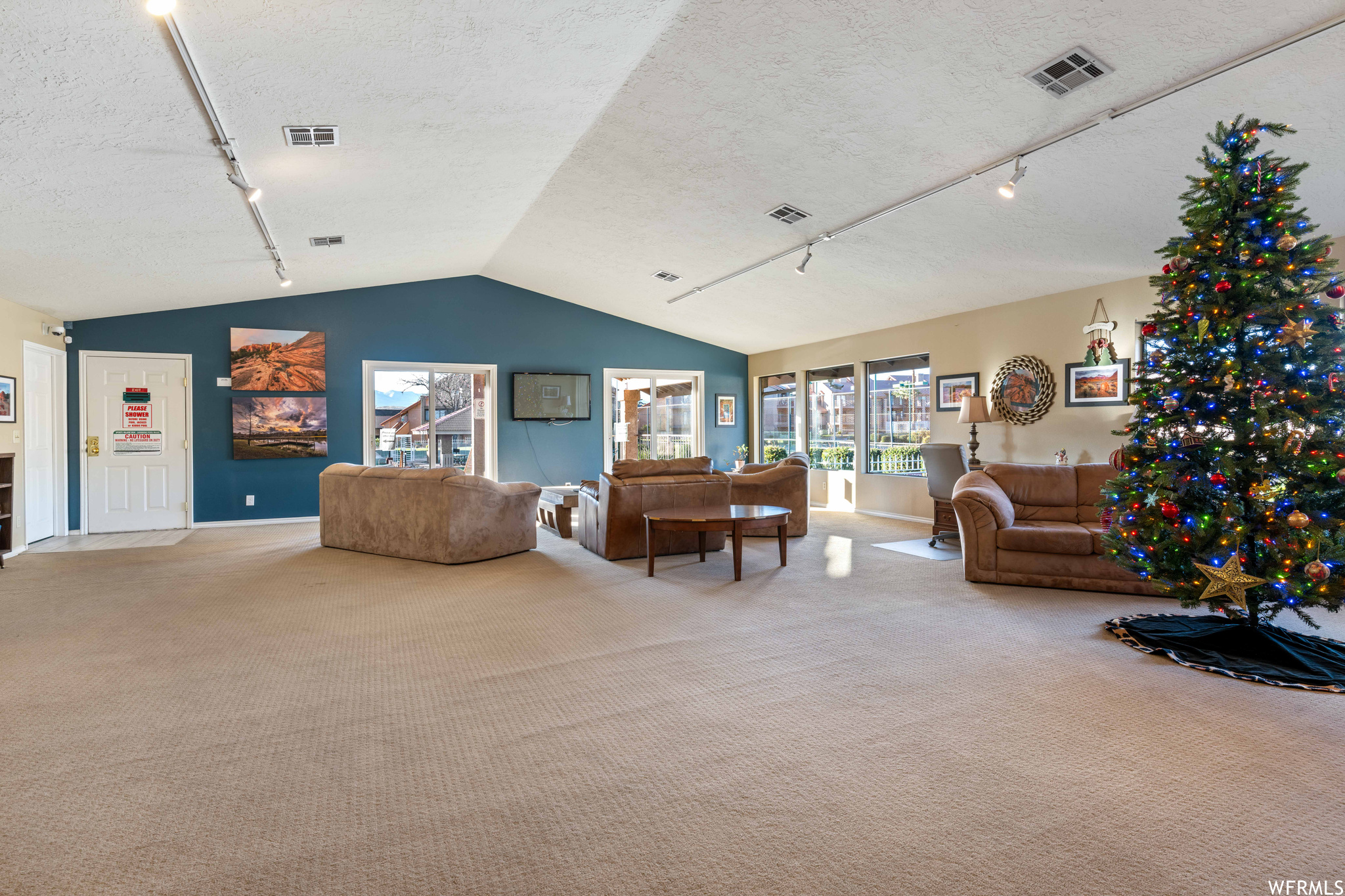 Living room with a textured ceiling, light carpet, rail lighting, and vaulted ceiling