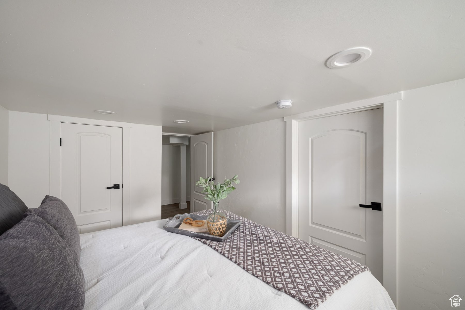 Basement bedroom with a closet