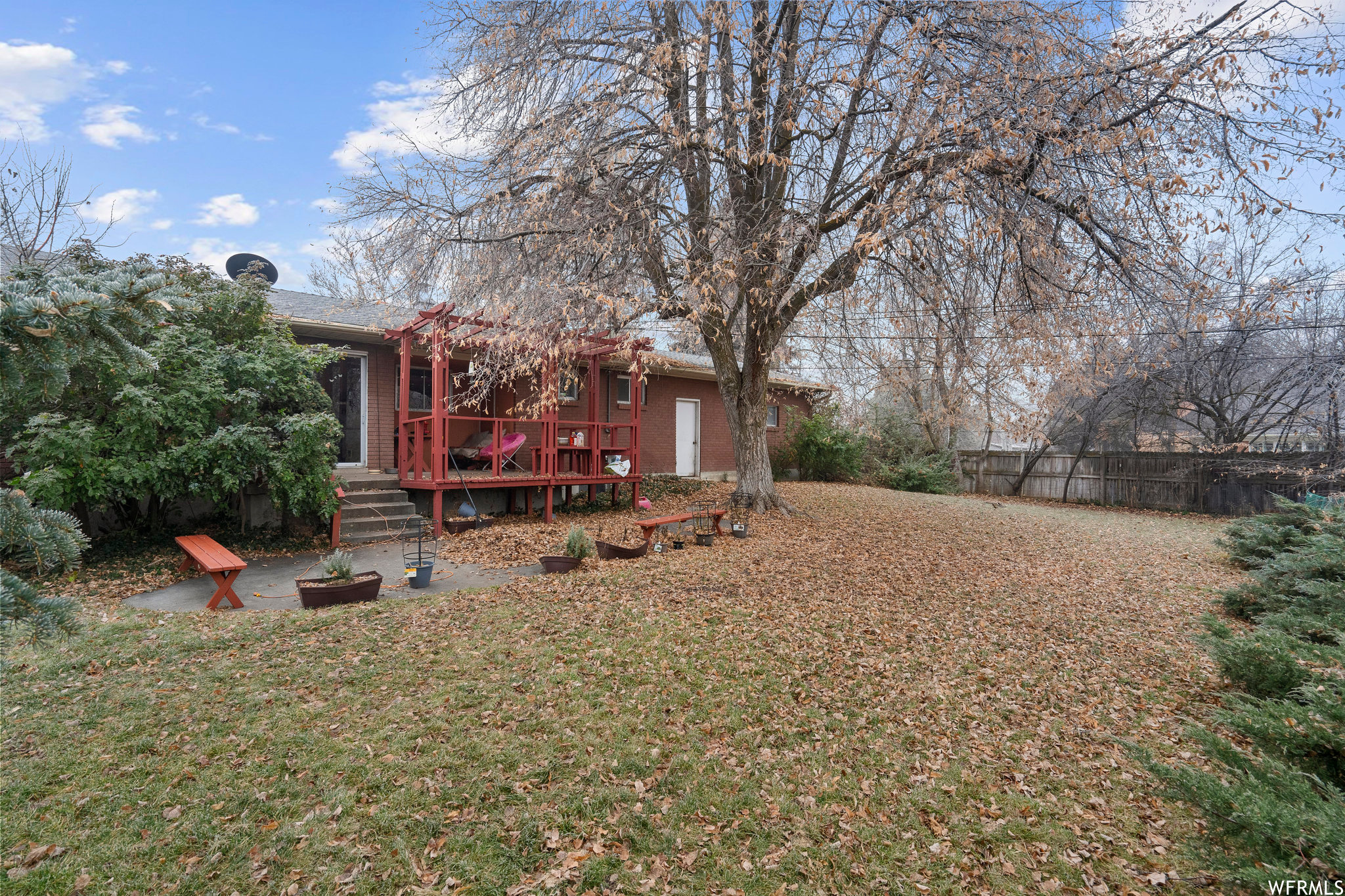 Back yard looking toward Patio