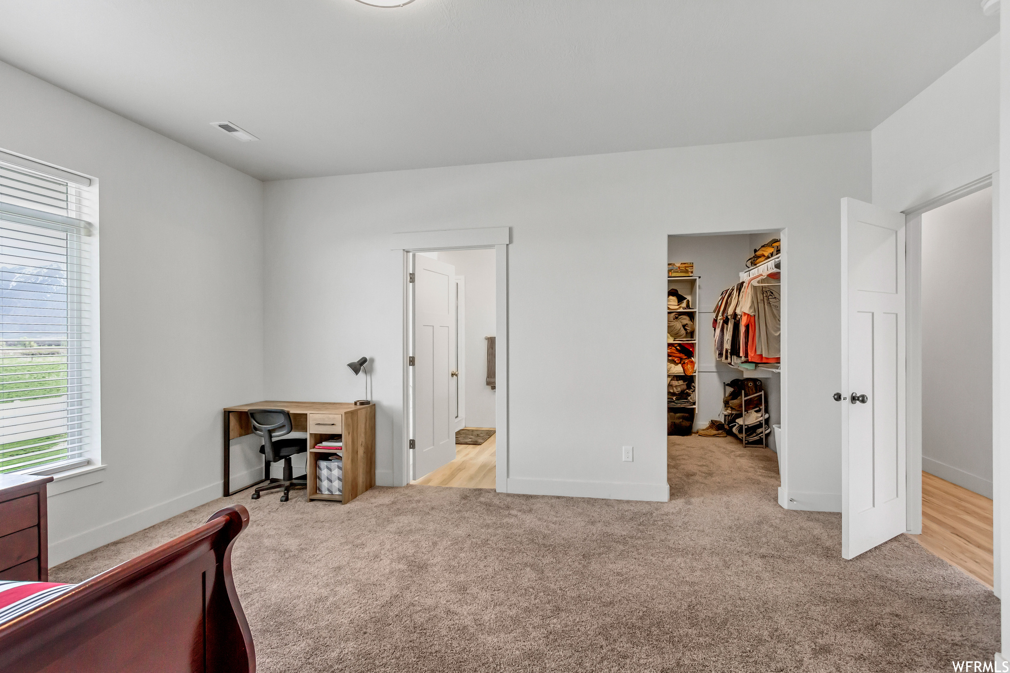 Interior space with a spacious closet, light carpet, and a closet