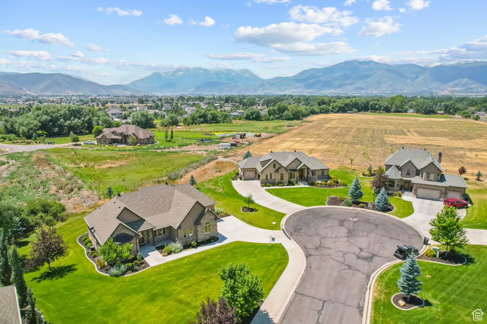 NEIGHBORHOOD VIEW