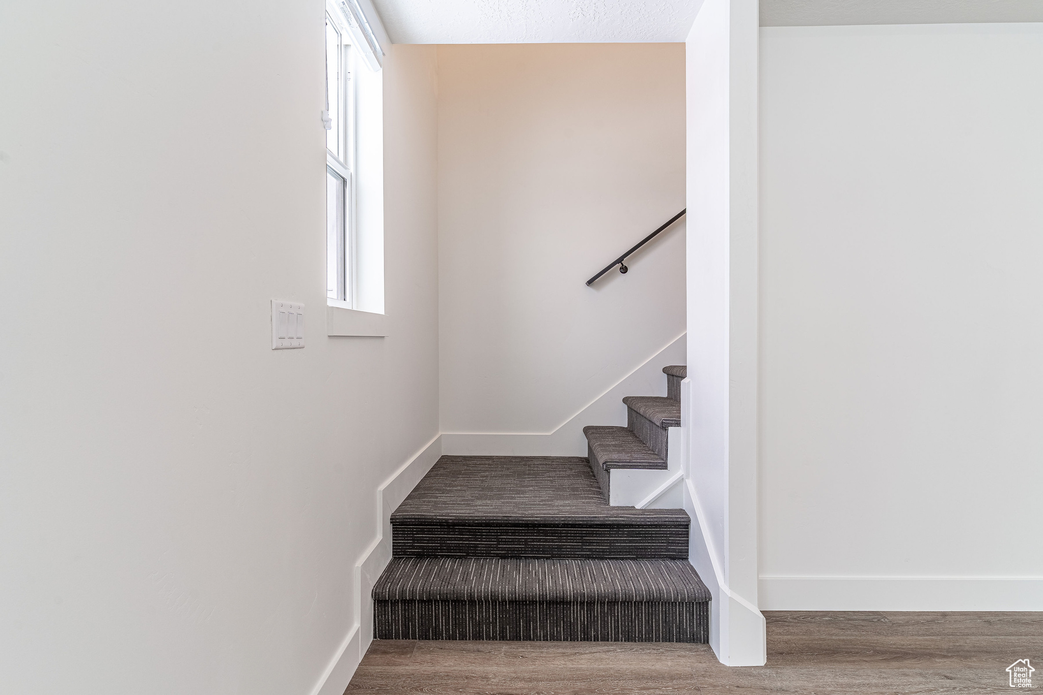 Stairs with dark wood-type flooring