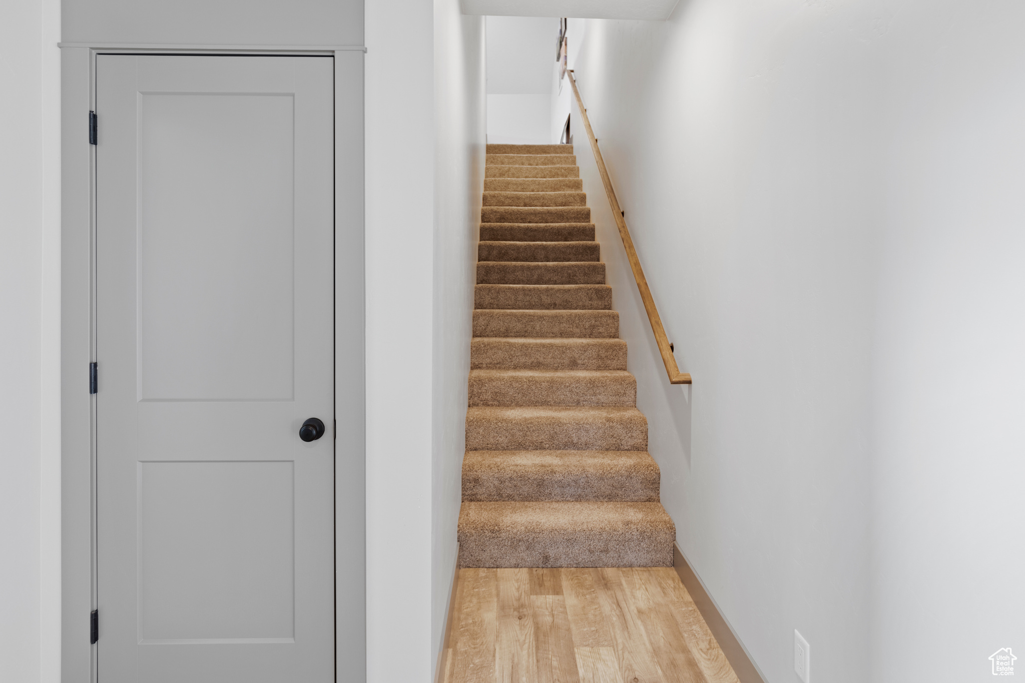 Stairs with light carpet flooring