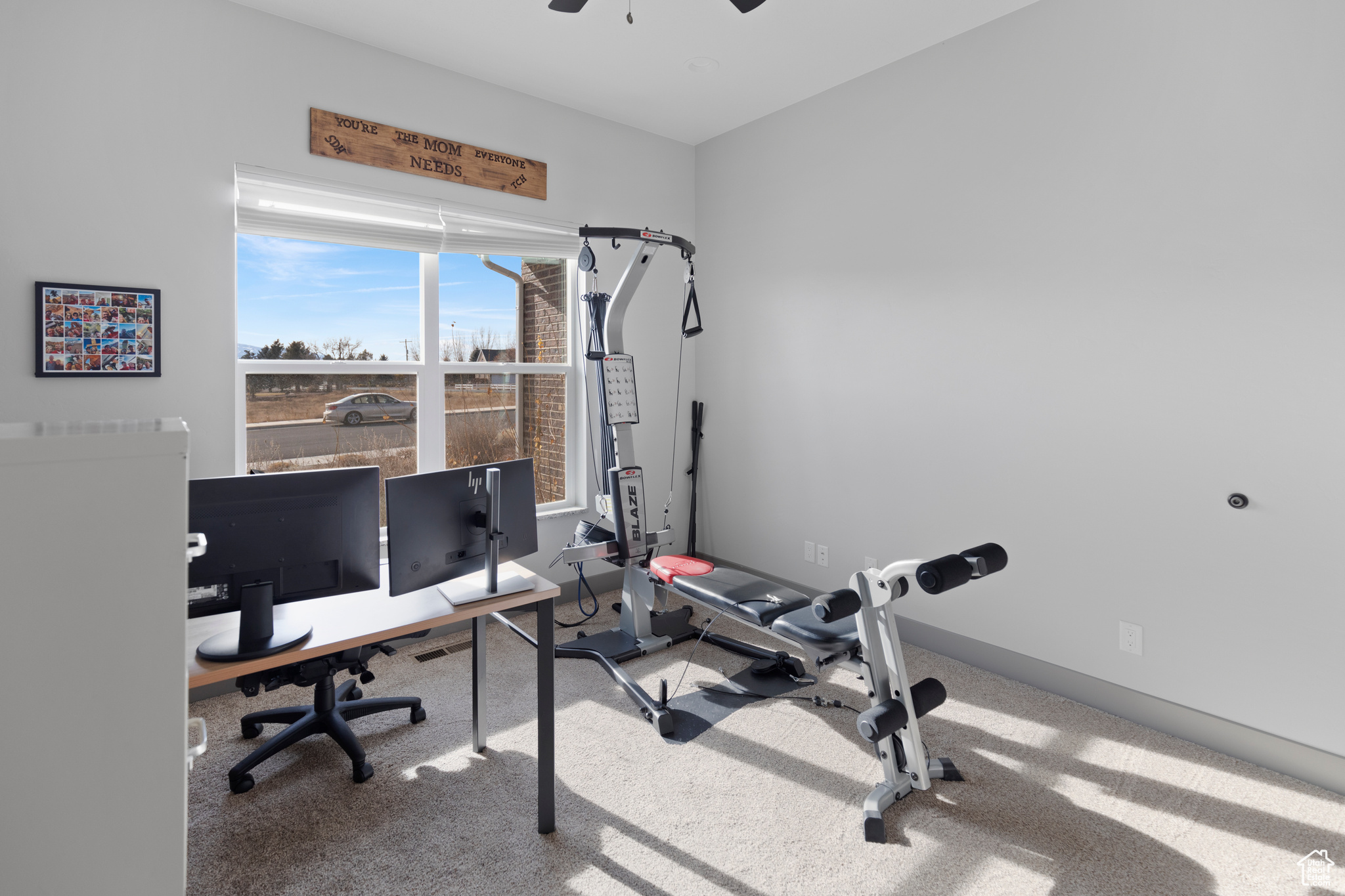 Carpeted office/bedroom