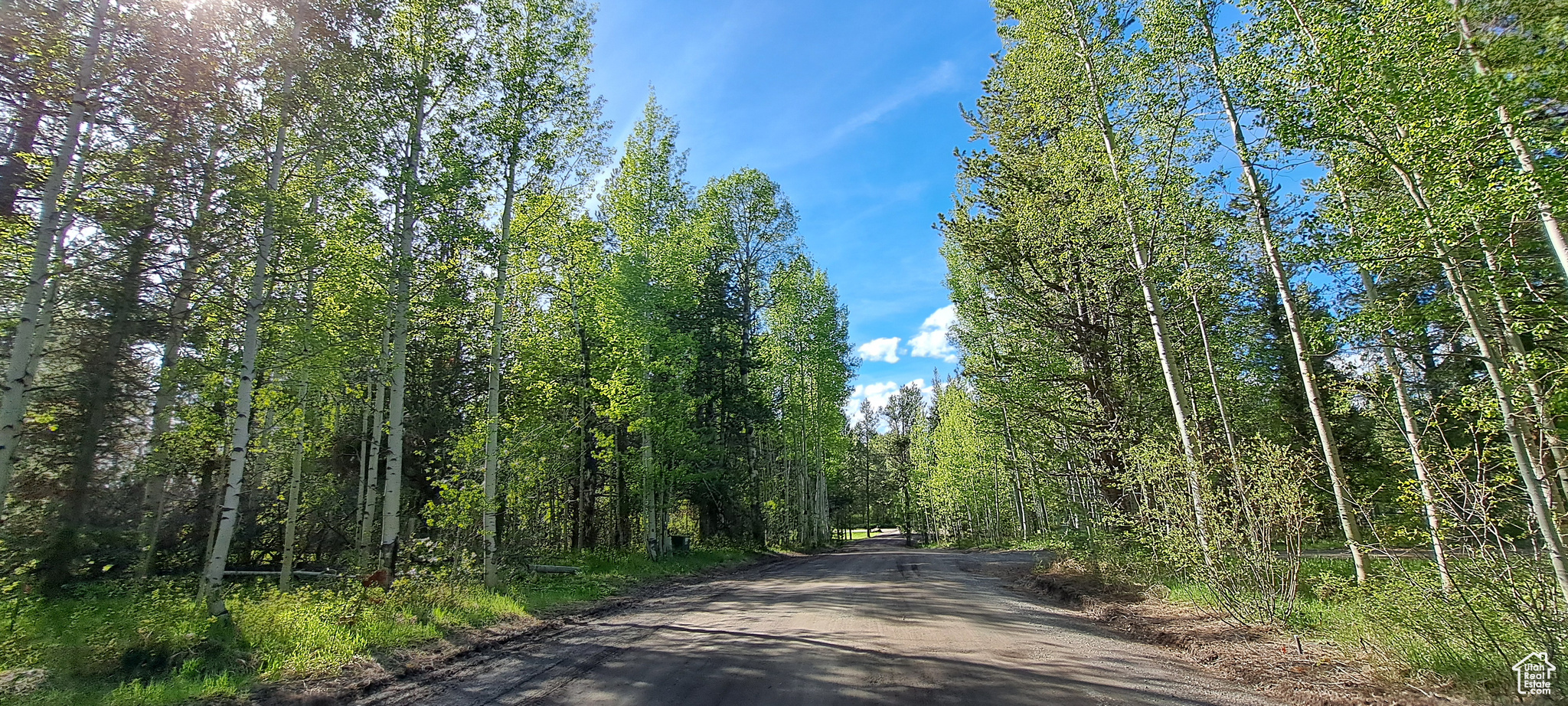 View of road