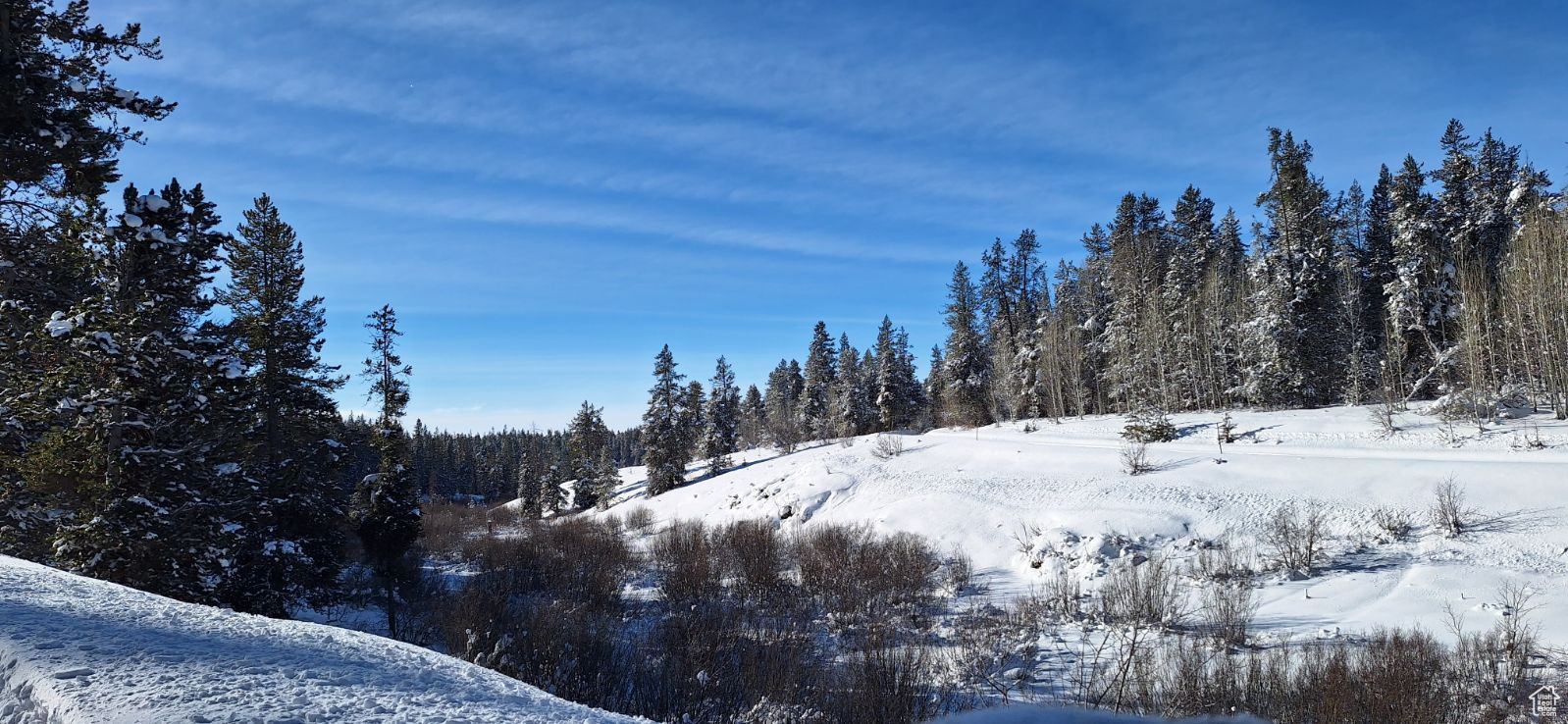 View of snowy view