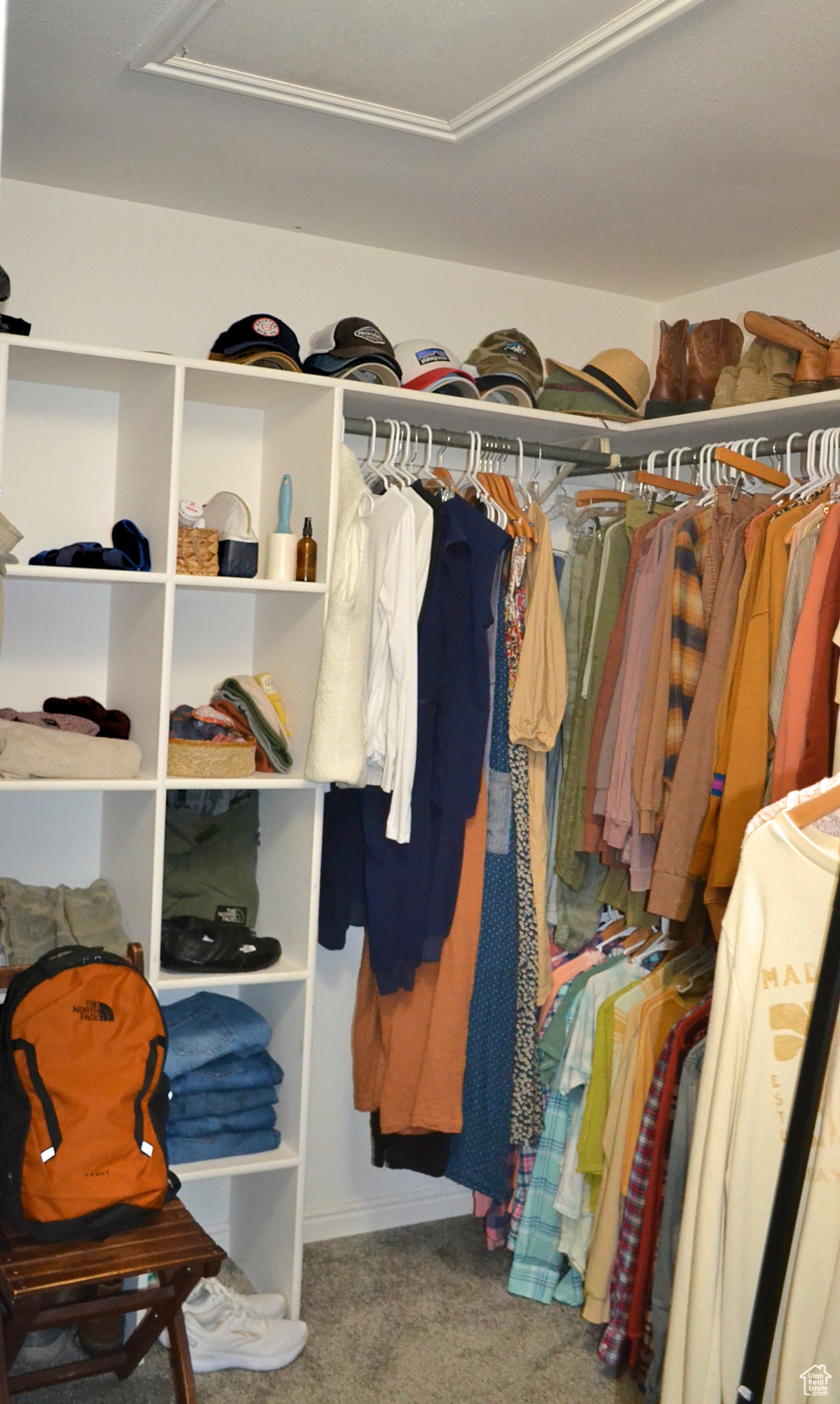 Spacious closet featuring carpet flooring