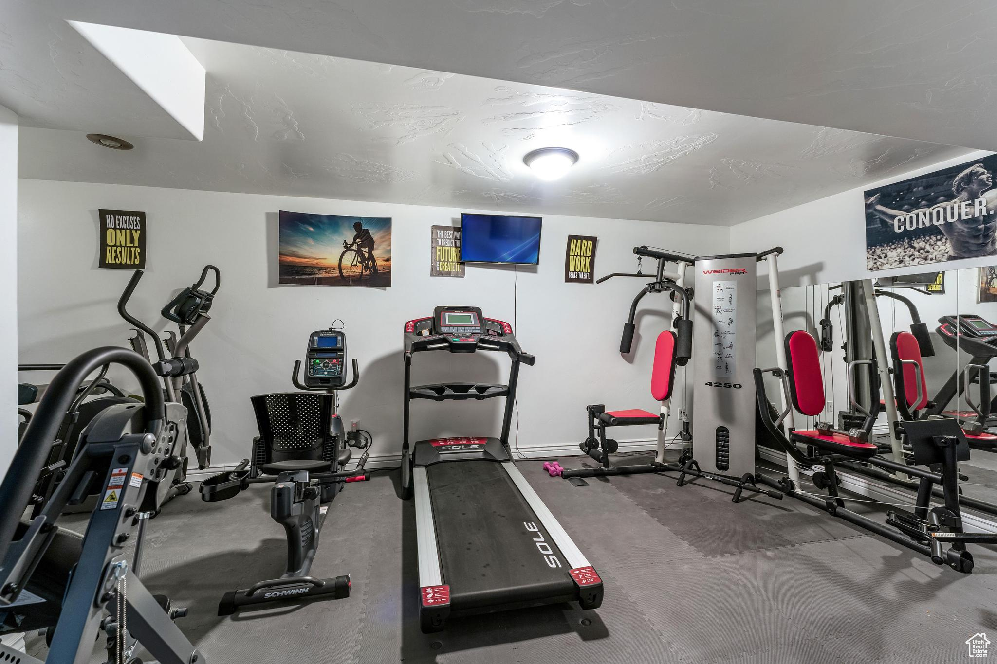 Basement Exercise Room of Main Home