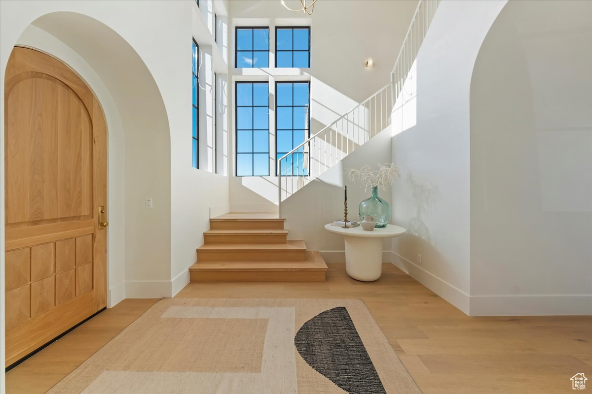 Foyer entrance featuring a high ceiling, light wood-type flooring, and plenty of natural light