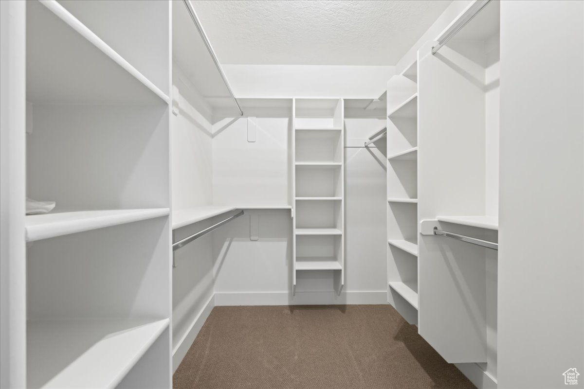 Spacious closet with dark carpet