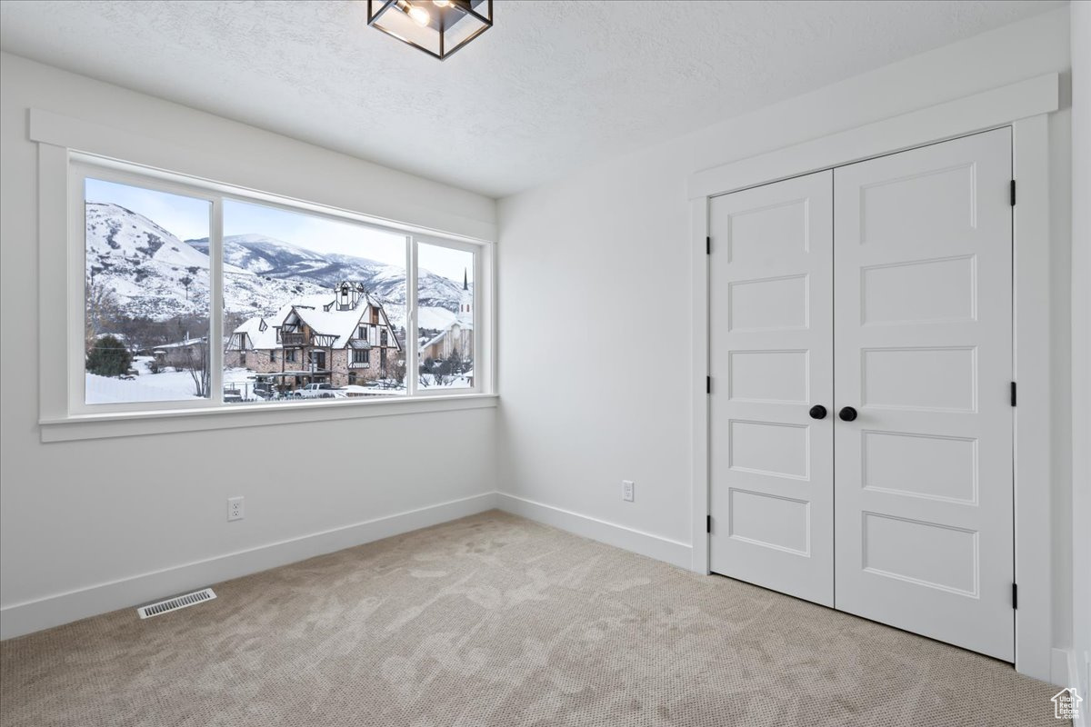 Unfurnished bedroom with light carpet, a closet, a textured ceiling, and a mountain view