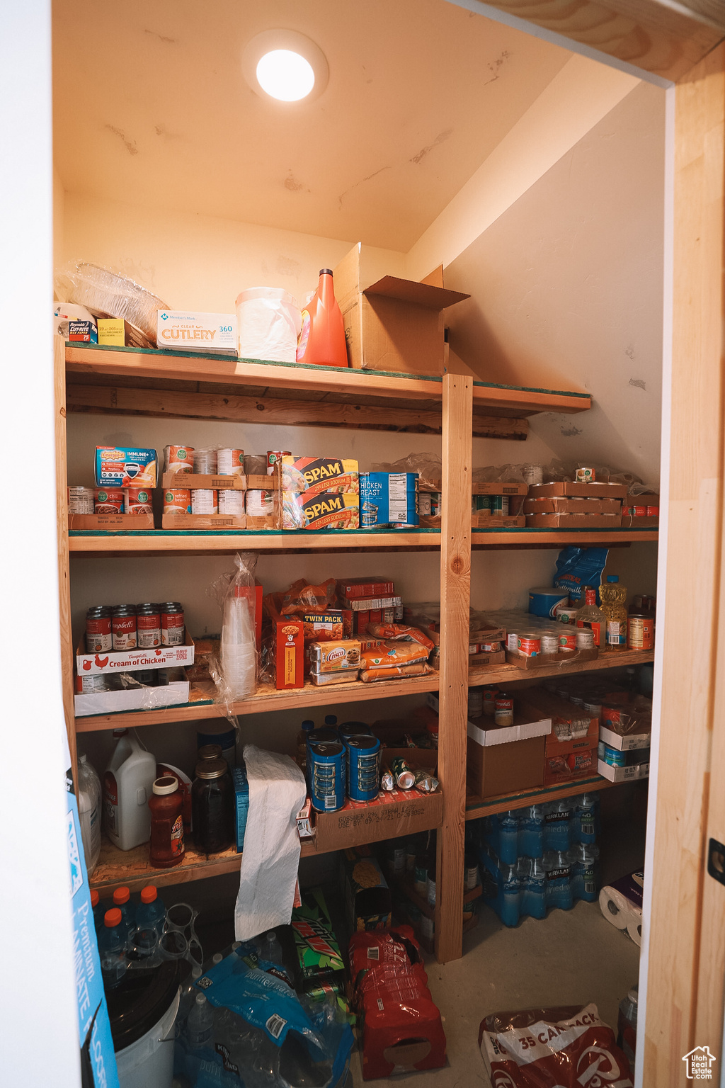 View of pantry for storage on the lower level.