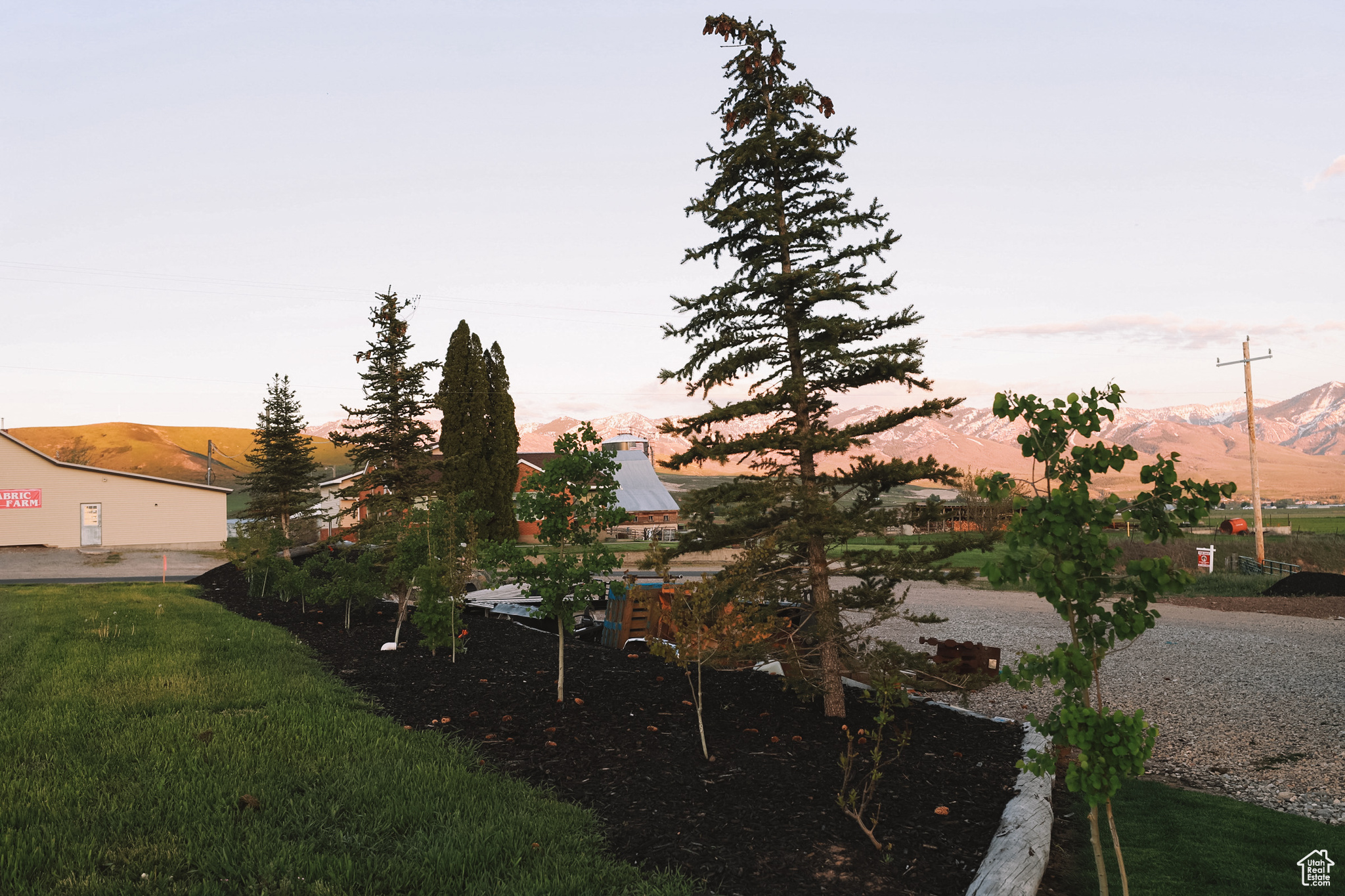 Yard at dusk featuring a mountain view and mature trees.