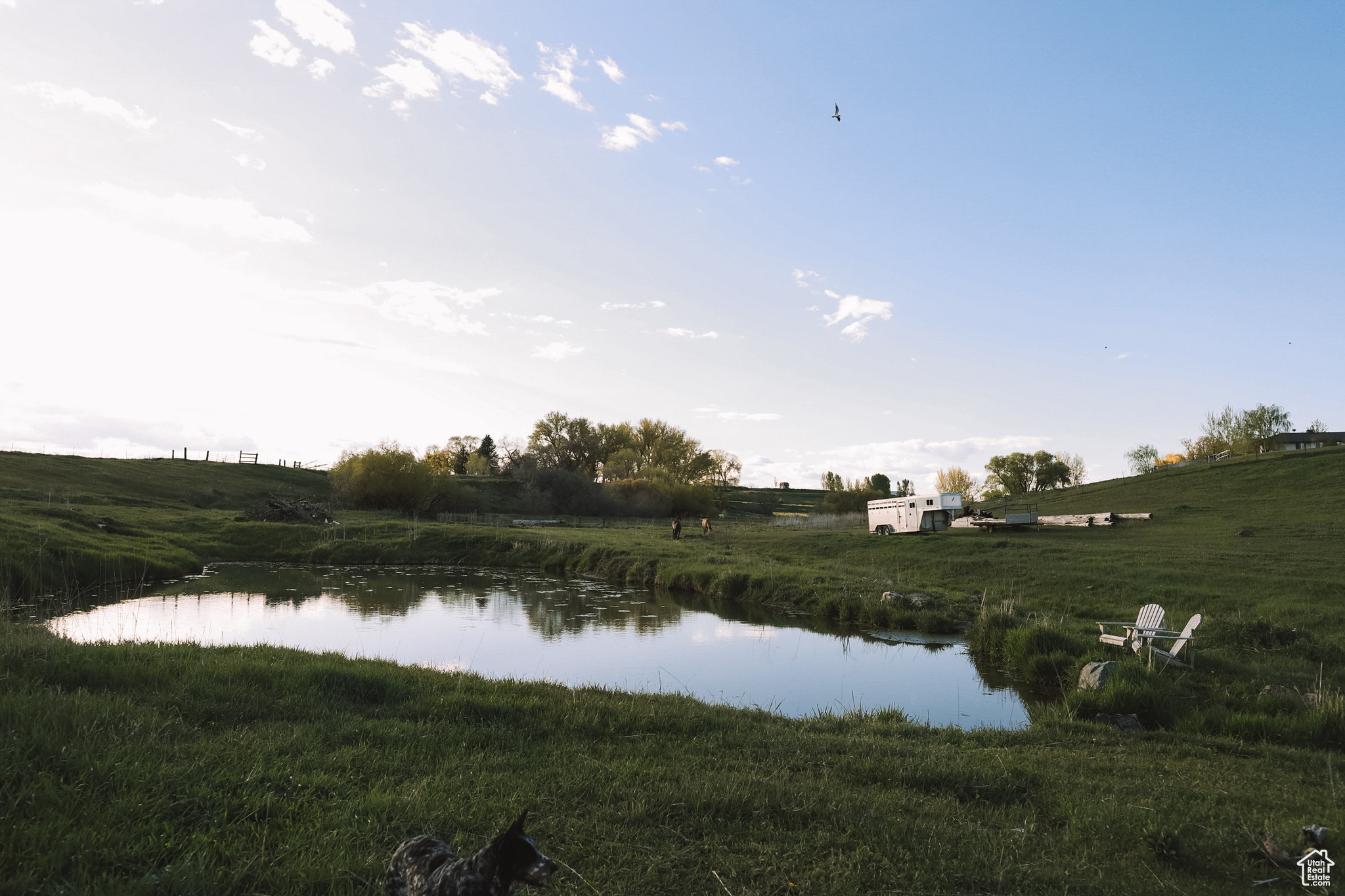 Water view with a rural view