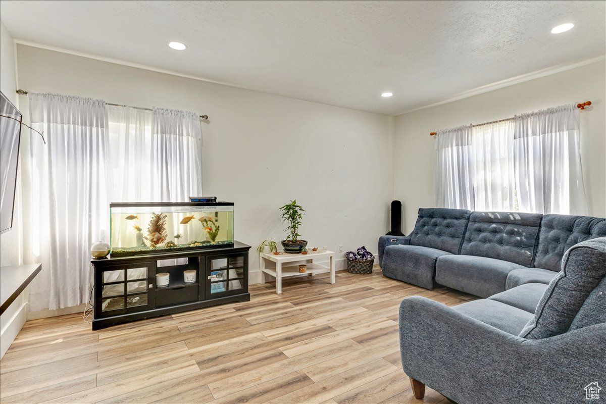 Living room featuring light hardwood / wood-style floors