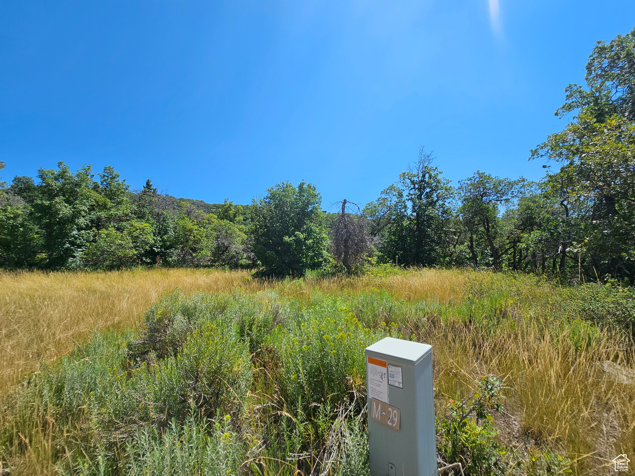 29 JUNIPER #M 29, Fairview, Utah 84629, ,Land,For sale,JUNIPER,1977214