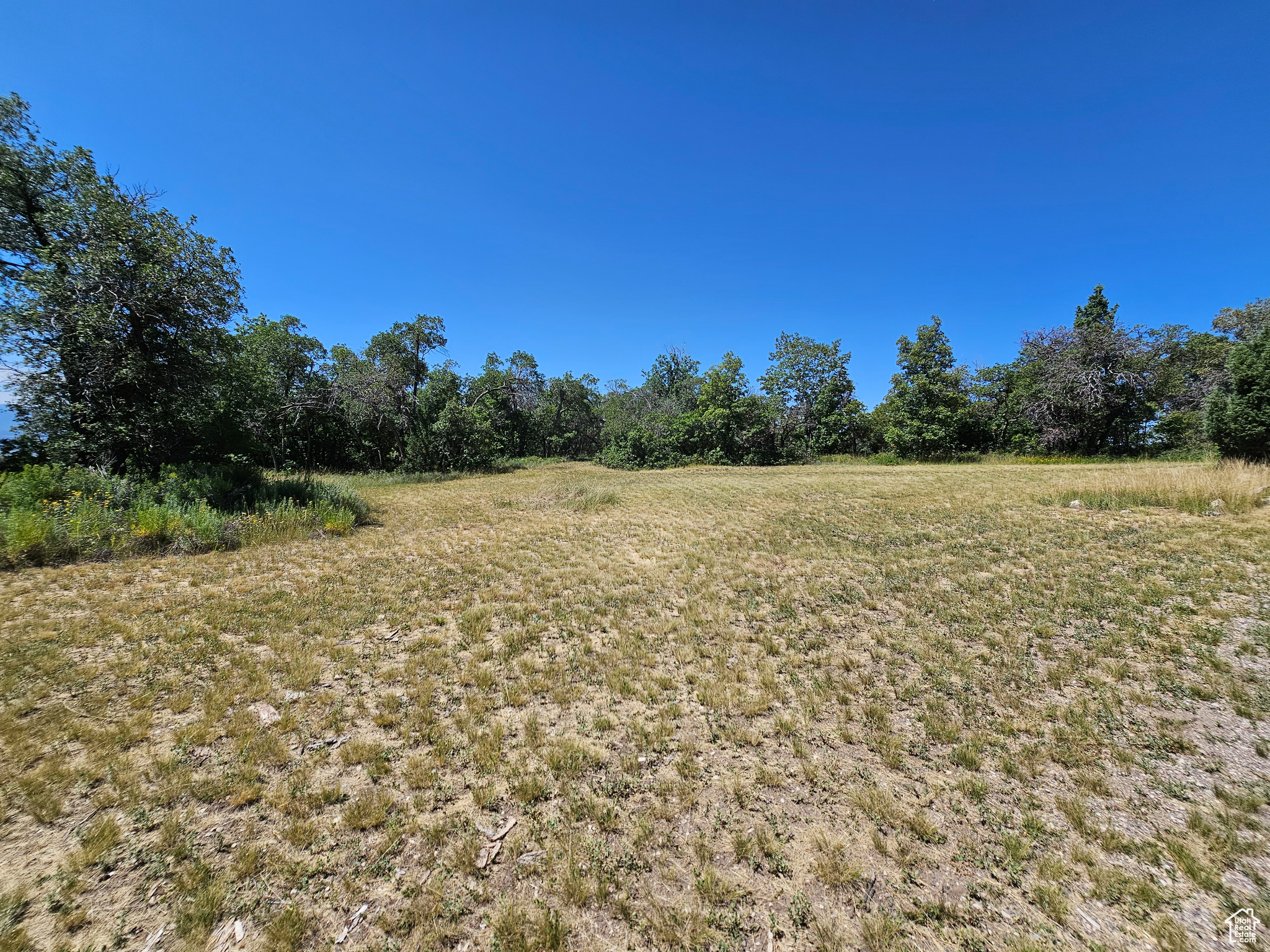 29 JUNIPER #M 29, Fairview, Utah 84629, ,Land,For sale,JUNIPER,1977214