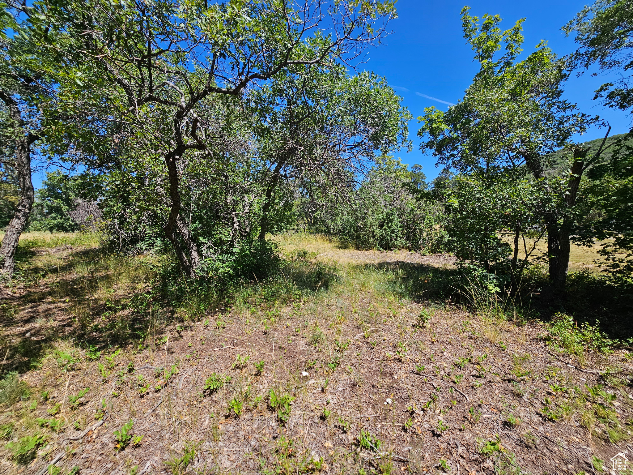 29 JUNIPER #M 29, Fairview, Utah 84629, ,Land,For sale,JUNIPER,1977214