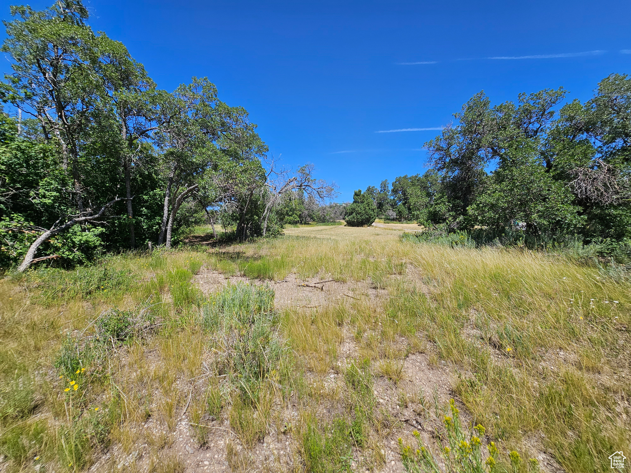 29 JUNIPER #M 29, Fairview, Utah 84629, ,Land,For sale,JUNIPER,1977214