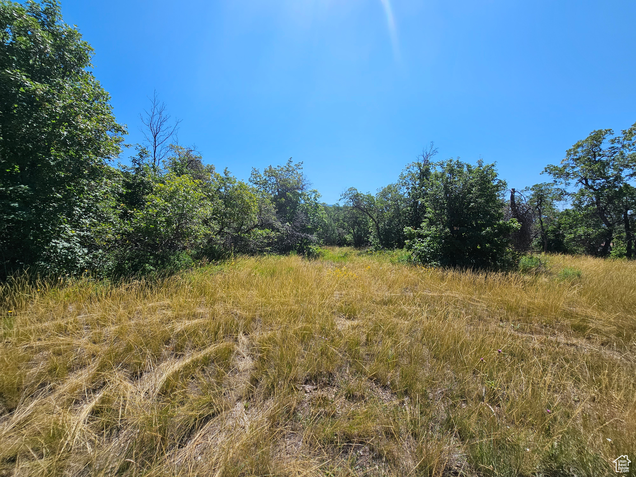 29 JUNIPER #M 29, Fairview, Utah 84629, ,Land,For sale,JUNIPER,1977214