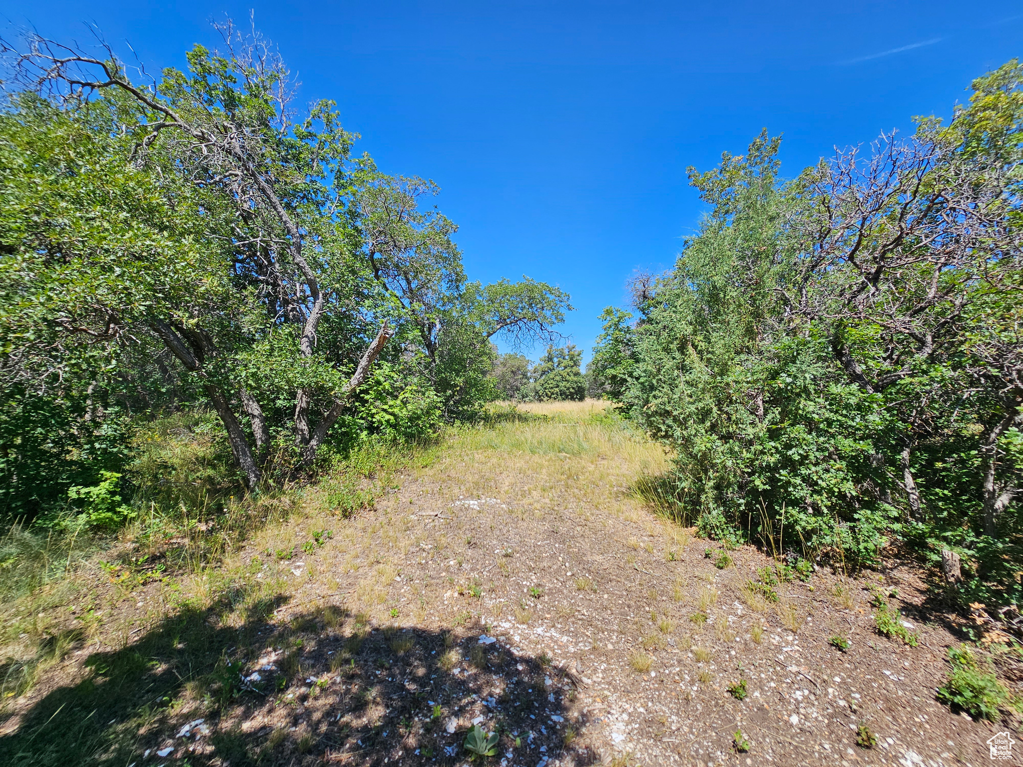 29 JUNIPER #M 29, Fairview, Utah 84629, ,Land,For sale,JUNIPER,1977214