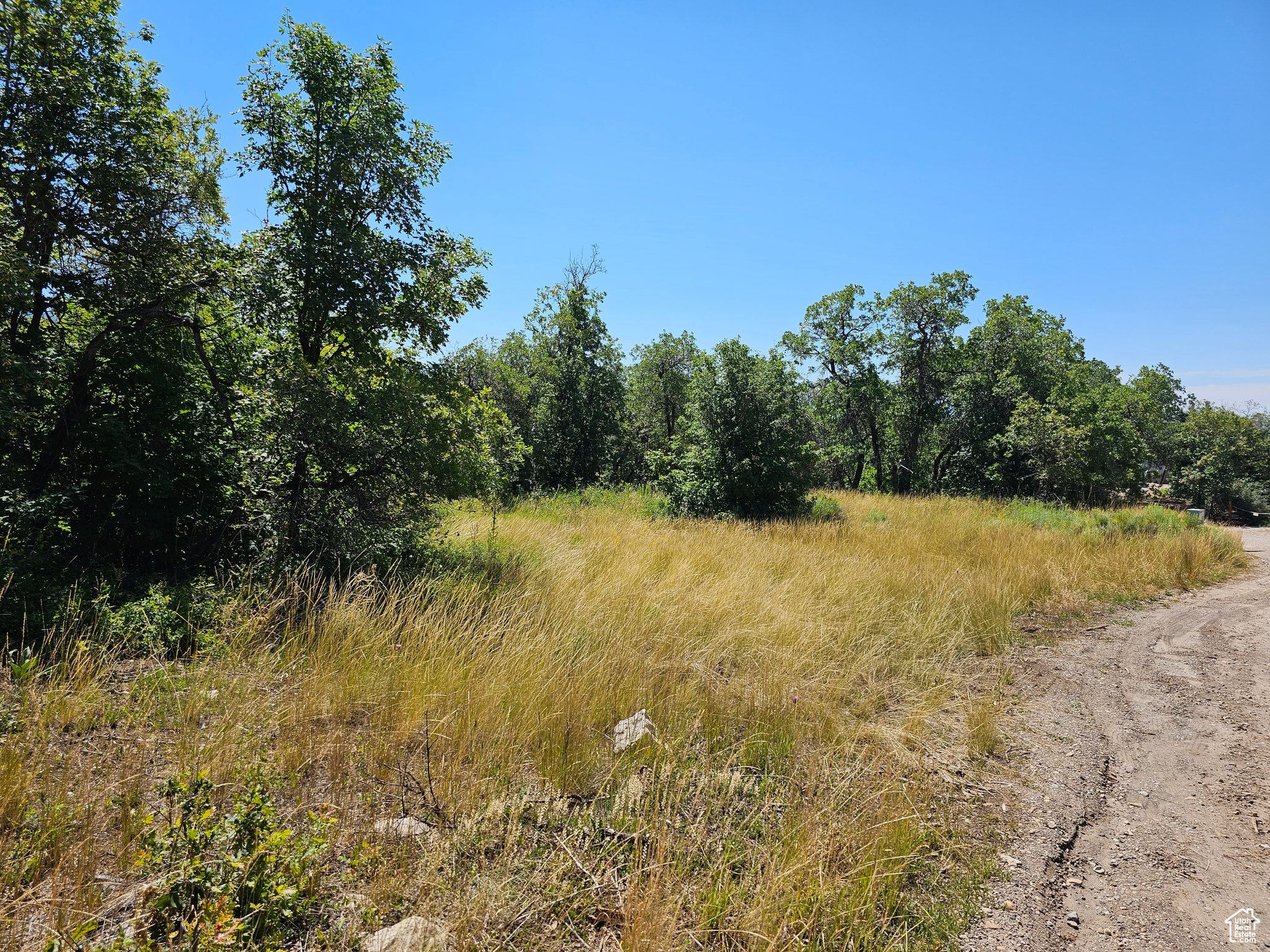 29 JUNIPER #M 29, Fairview, Utah 84629, ,Land,For sale,JUNIPER,1977214