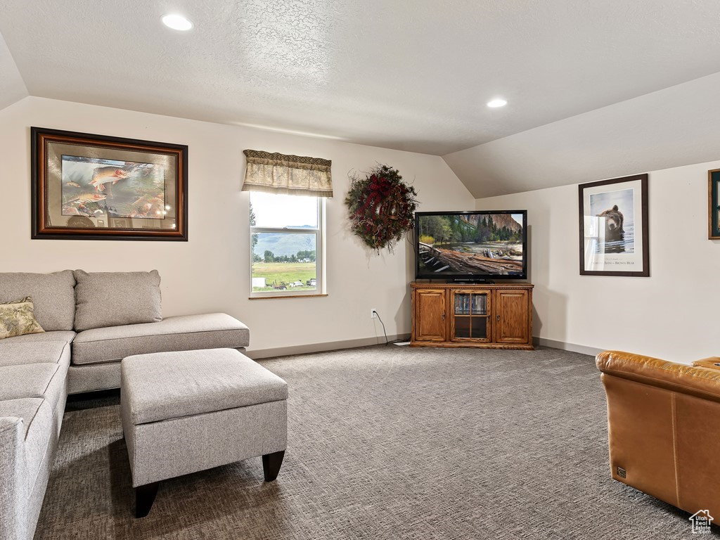 Carpeted living room with vaulted ceiling and a textured ceiling