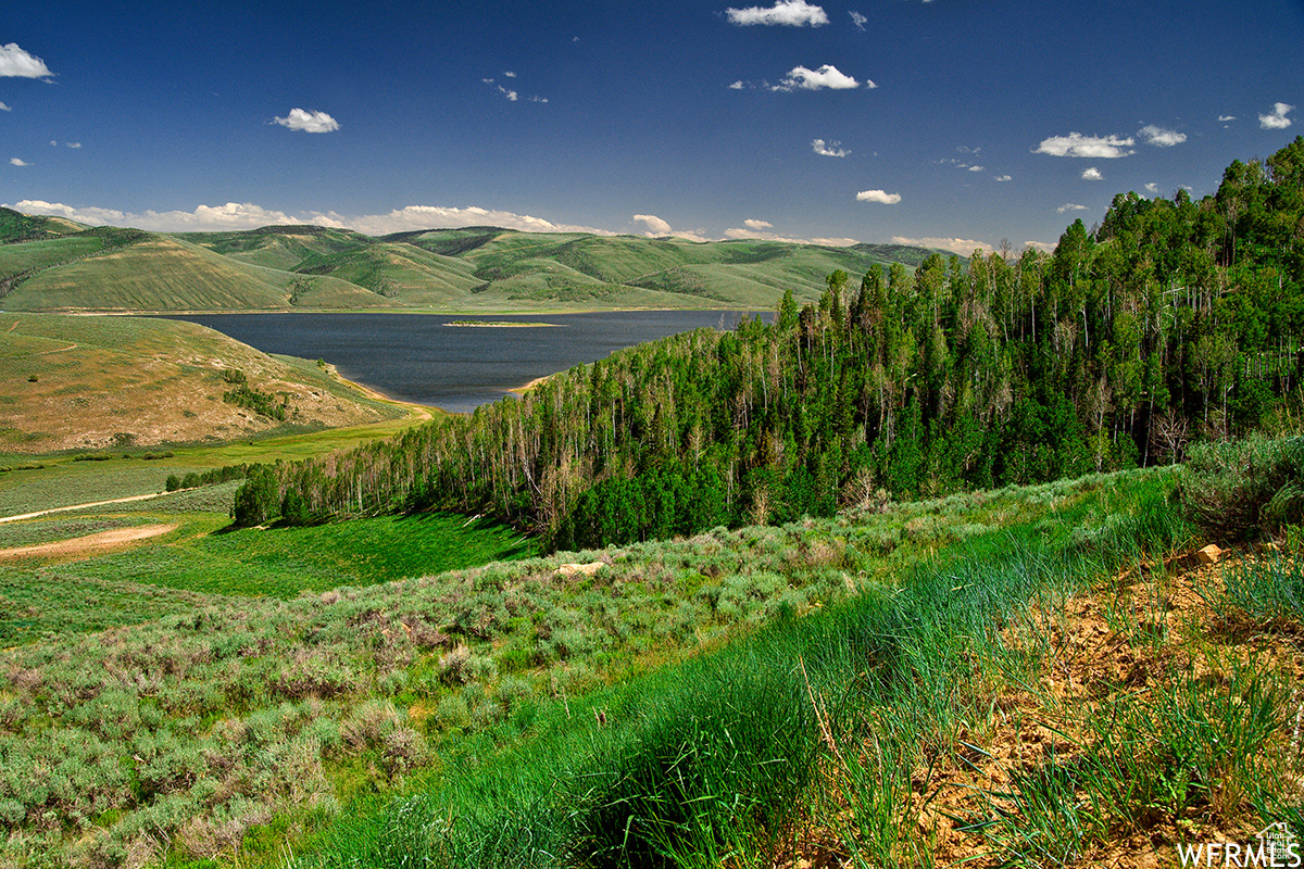 19 DRY VALLEY, Scofield, Utah 84526, ,Land,For sale,DRY VALLEY,1977320