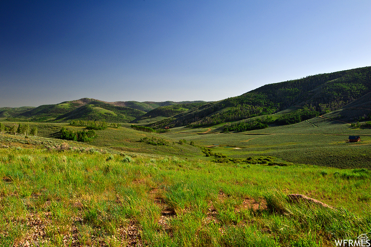 19 DRY VALLEY, Scofield, Utah 84526, ,Land,For sale,DRY VALLEY,1977320