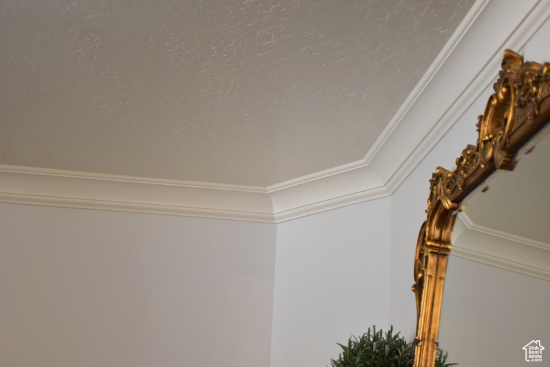 Room details with crown molding